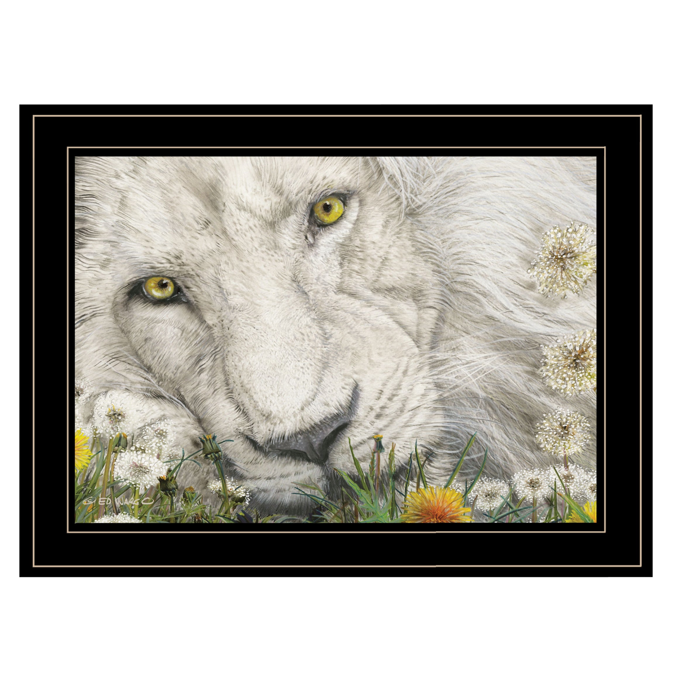 "Dandy Lion" By Ed Wargo, Ready to Hang Framed Print, Black Frame--1