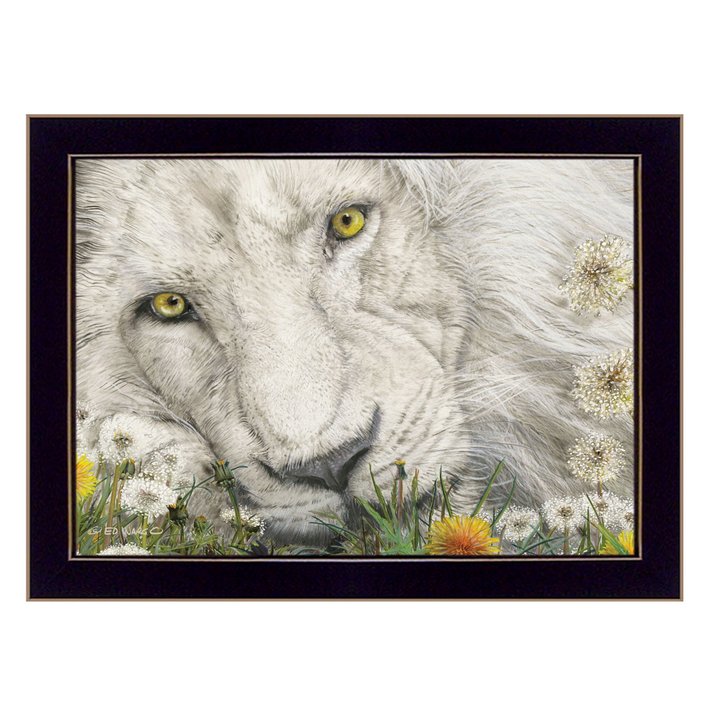 "Dandy Lion" By Ed Wargo, Ready to Hang Framed Print, Black Frame--1