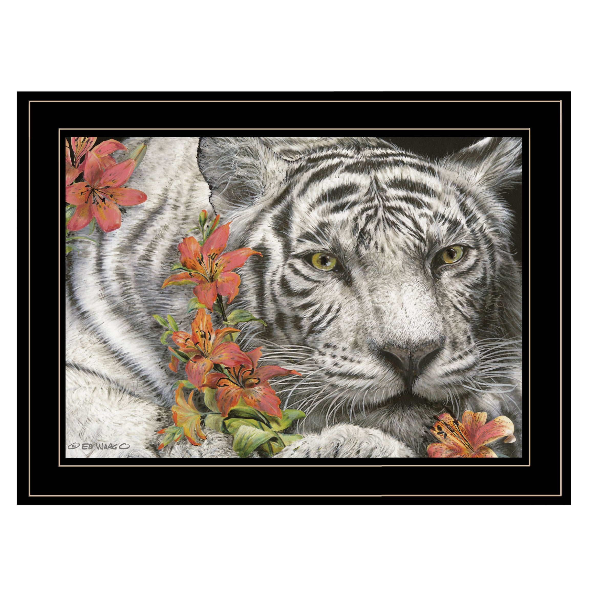 "Tiger Lily" By Ed Wargo, Ready to Hang Framed Print, Black Frame--1