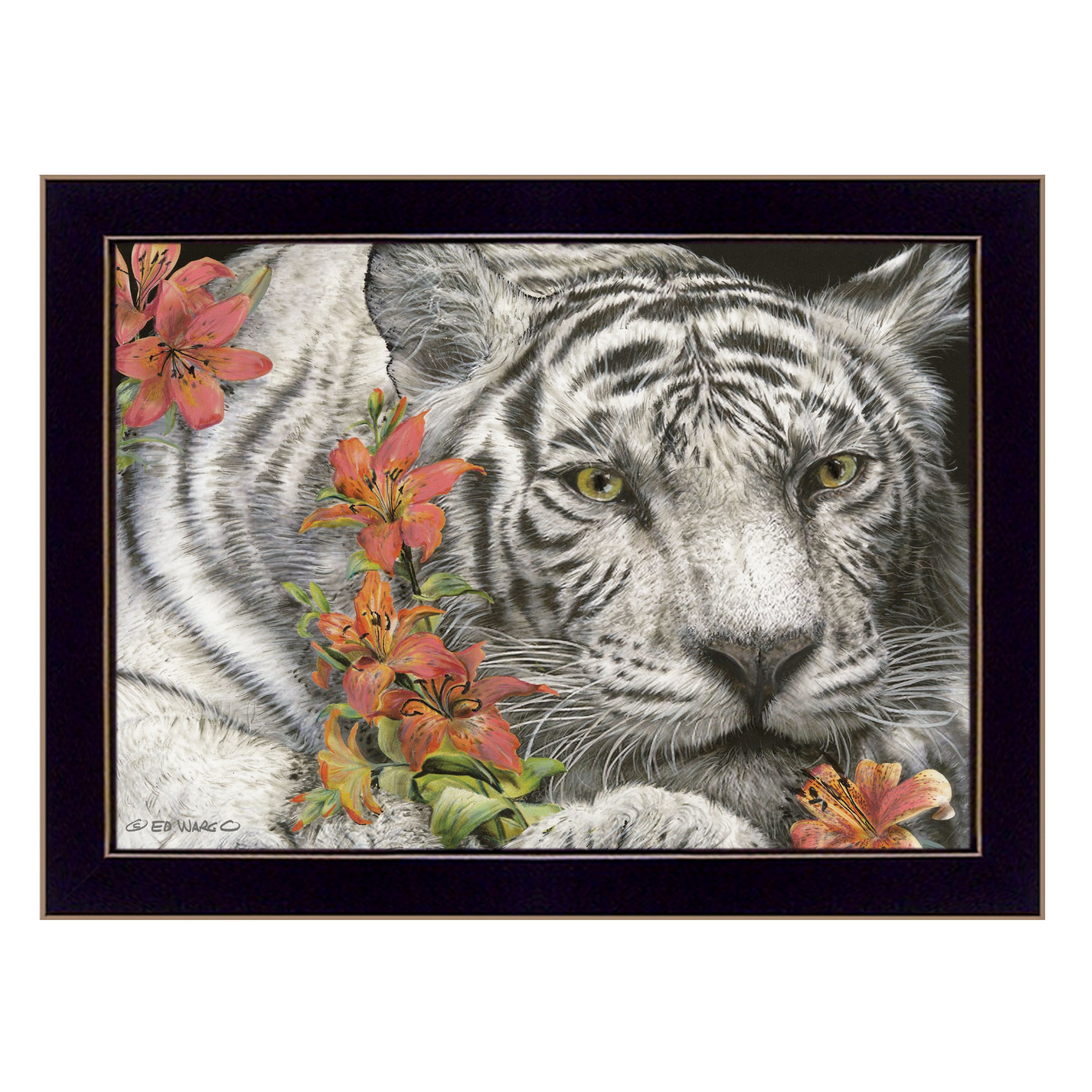 "Tiger Lily" By Ed Wargo, Ready to Hang Framed Print, Black Frame--1