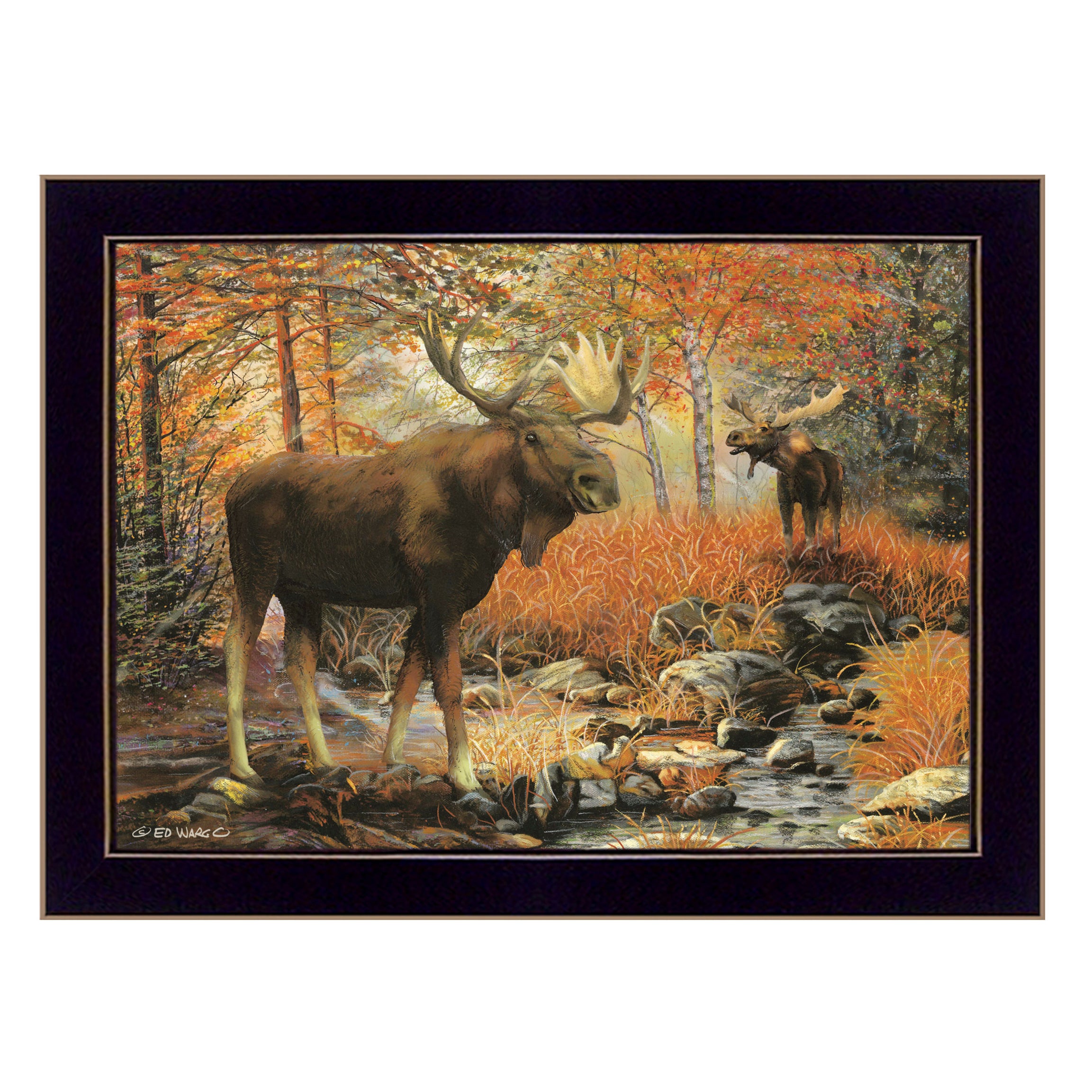 "Call of the Wild" By Ed Wargo, Ready to Hang Framed Print, Black Frame--1