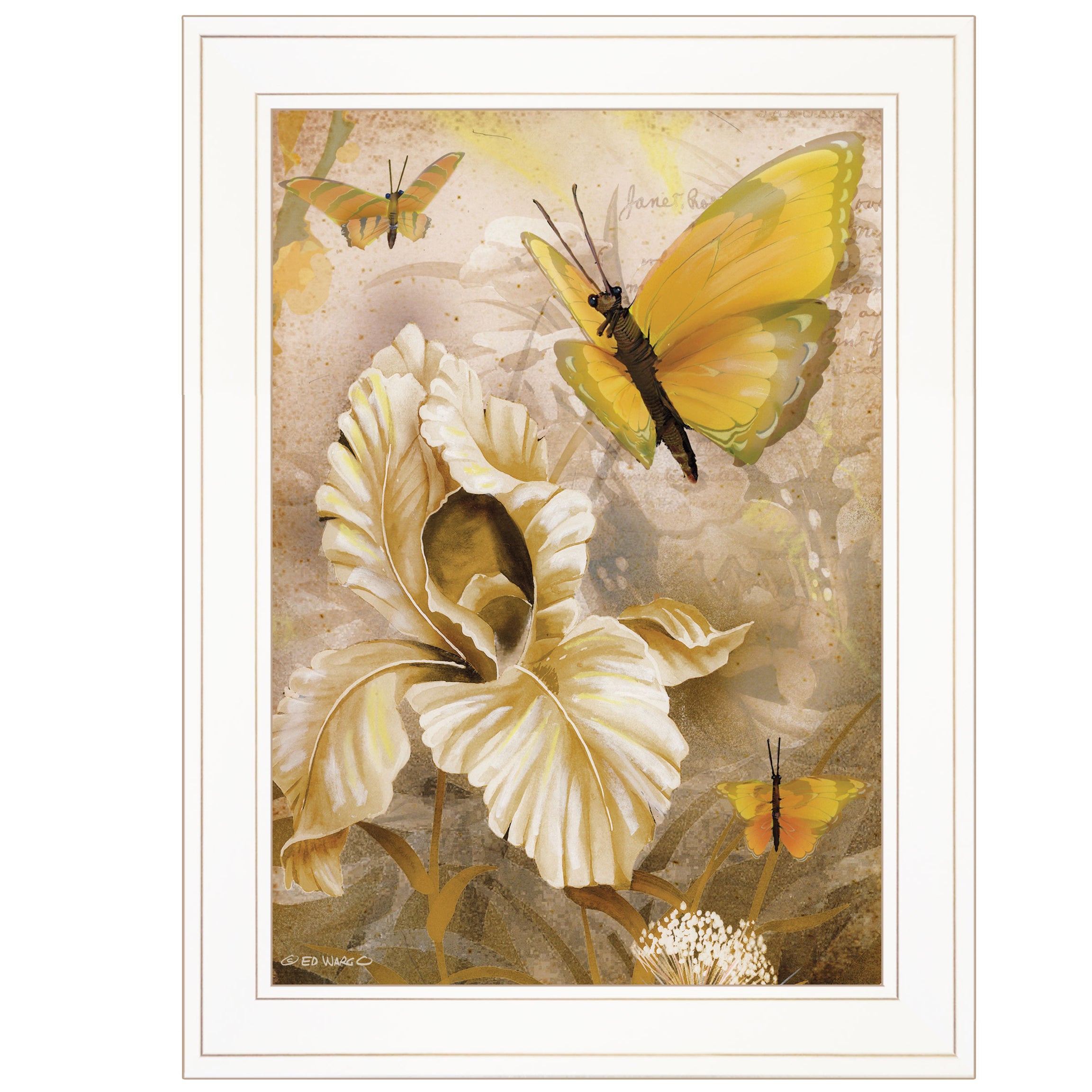 "Flowers & Butterflies I" By Ed Wargo, Ready to Hang Framed Print, White Frame--1