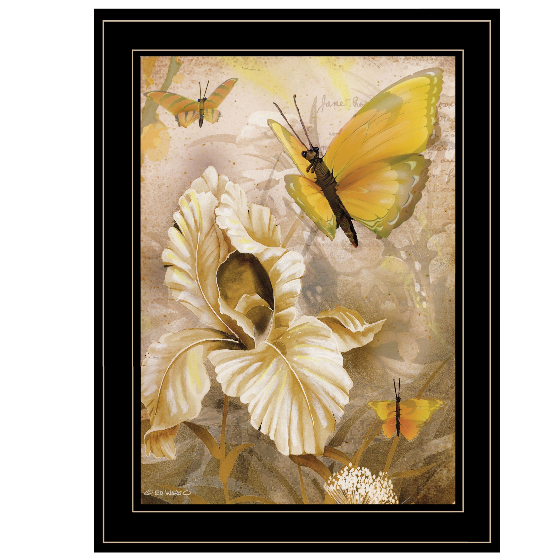 "Flowers & Butterflies I" By Ed Wargo, Ready to Hang Framed Print, Black Frame--1