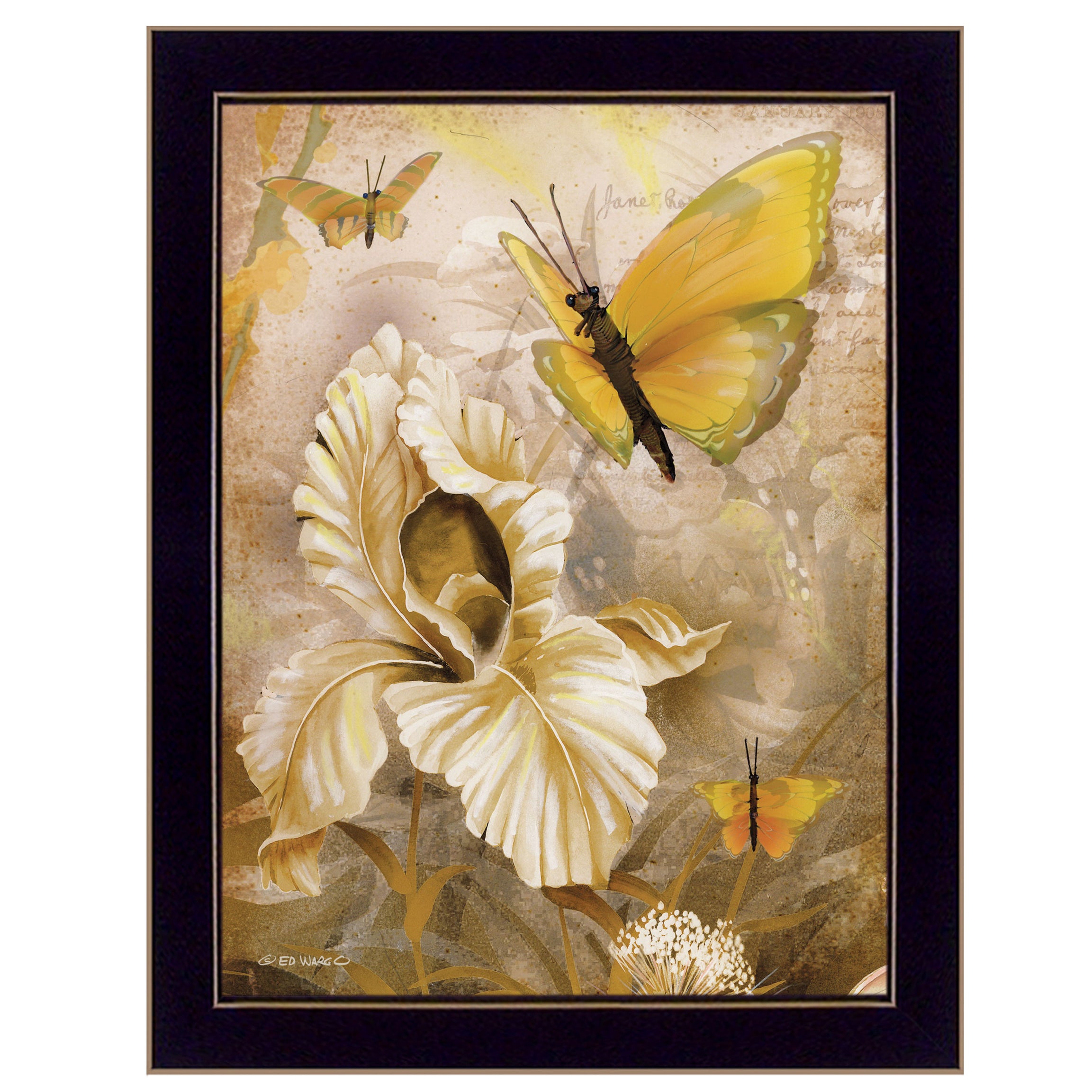 "Flowers & Butterflies I" By Ed Wargo, Ready to Hang Framed Print, Black Frame--1