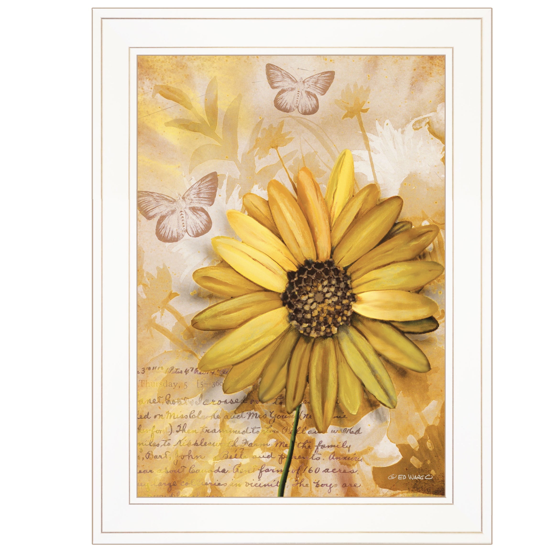 "Flowers & Butterflies II" By Ed Wargo, Ready to Hang Framed Print, White Frame--1