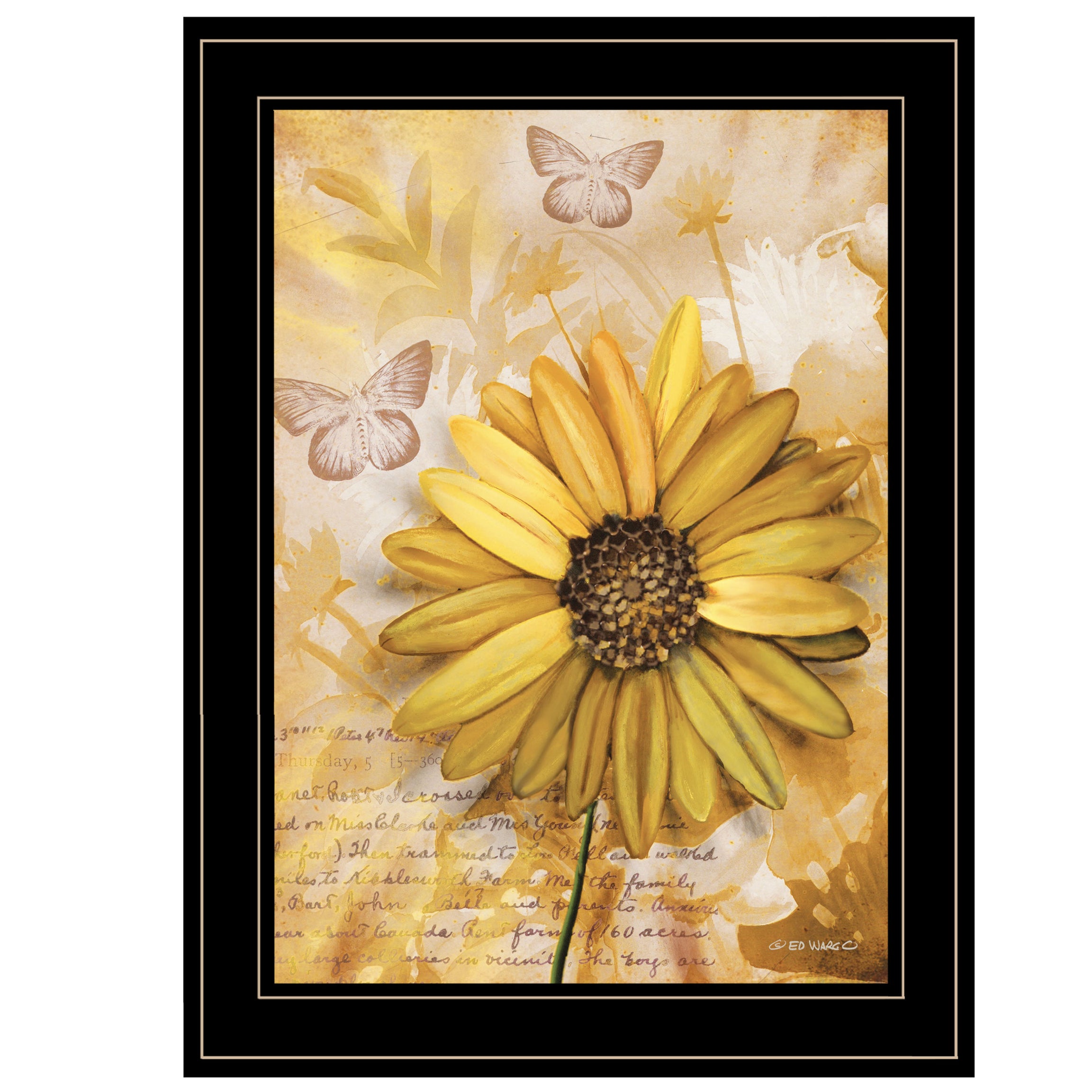 "Flowers & Butterflies II" By Ed Wargo, Ready to Hang Framed Print, Black Frame--1