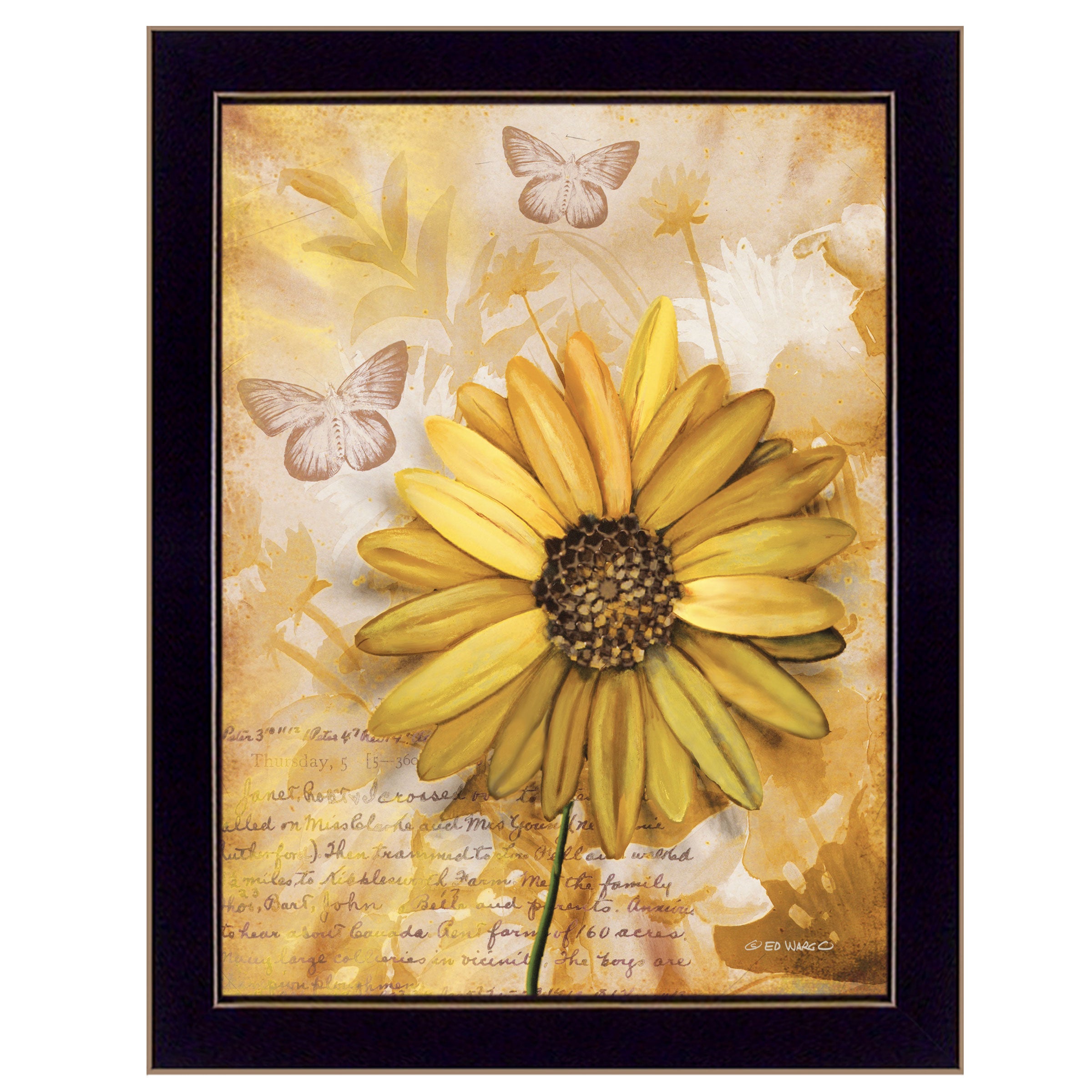 "Flowers & Butterflies II" By Ed Wargo, Ready to Hang Framed Print, Black Frame--1