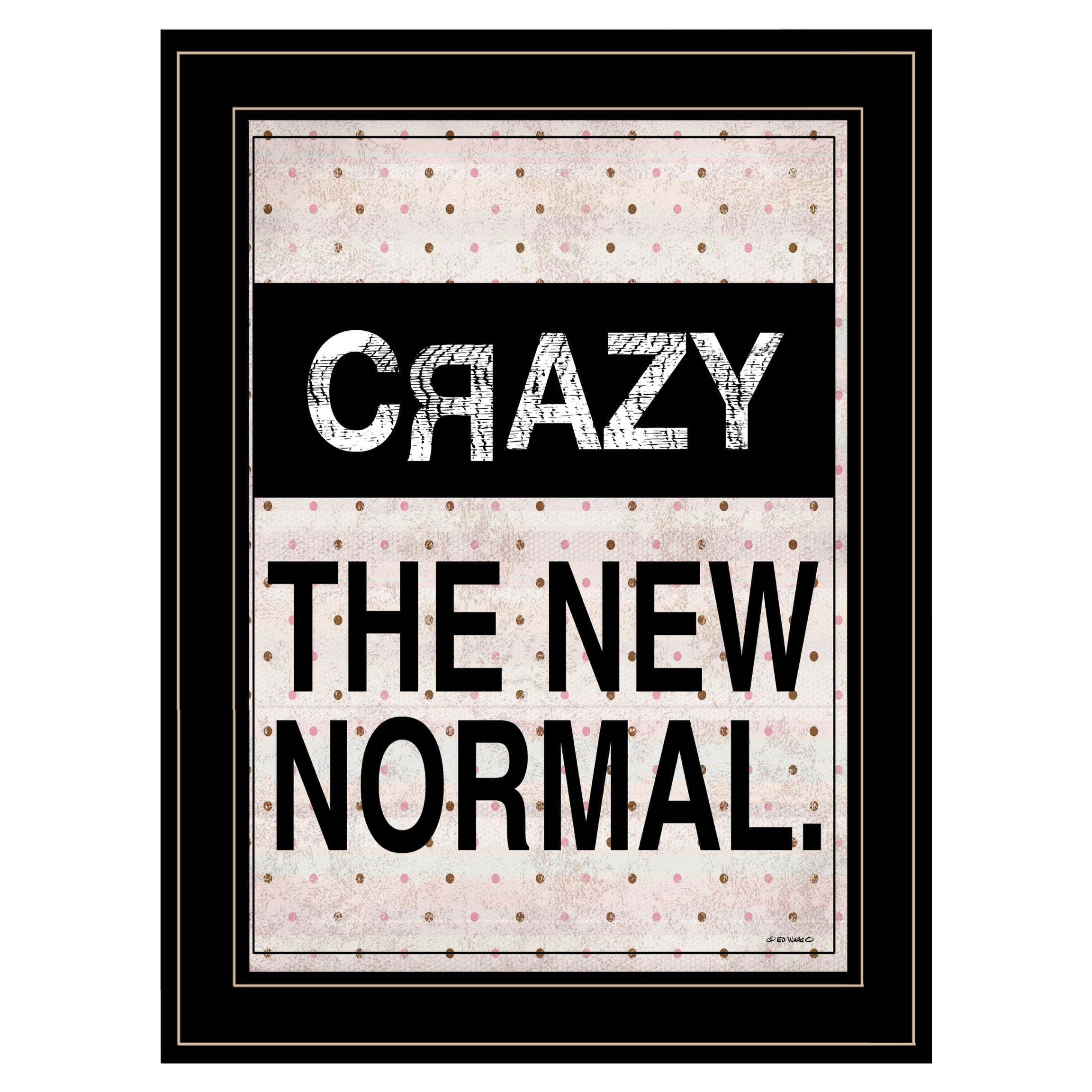 "Crazy The New Normal!" by Ed Wargo, Ready to Hang Framed Print, Black Frame--1