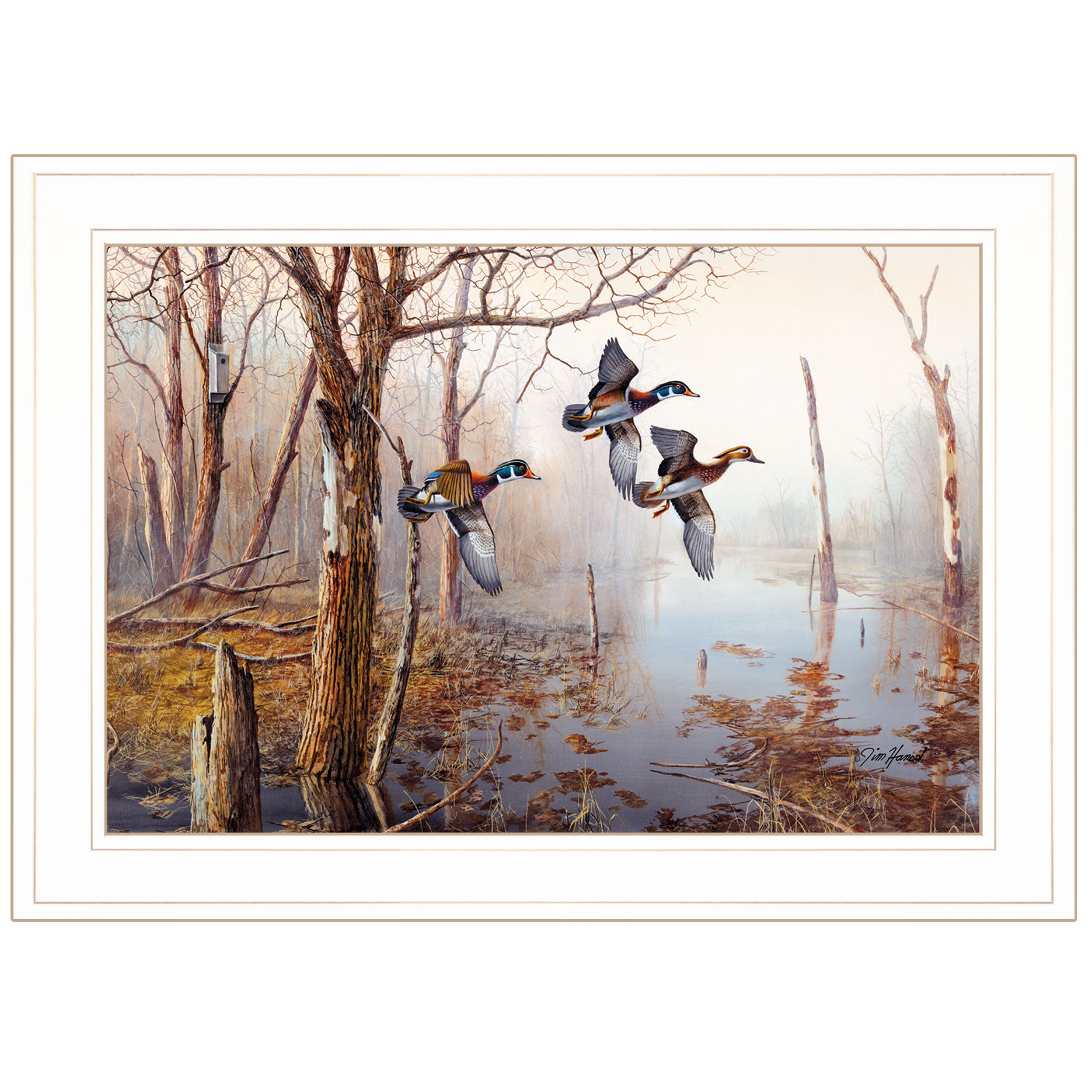 "Master of His Domain Collection" By Jim Hansen,, Ready to Hang Framed Print, White Frame--1