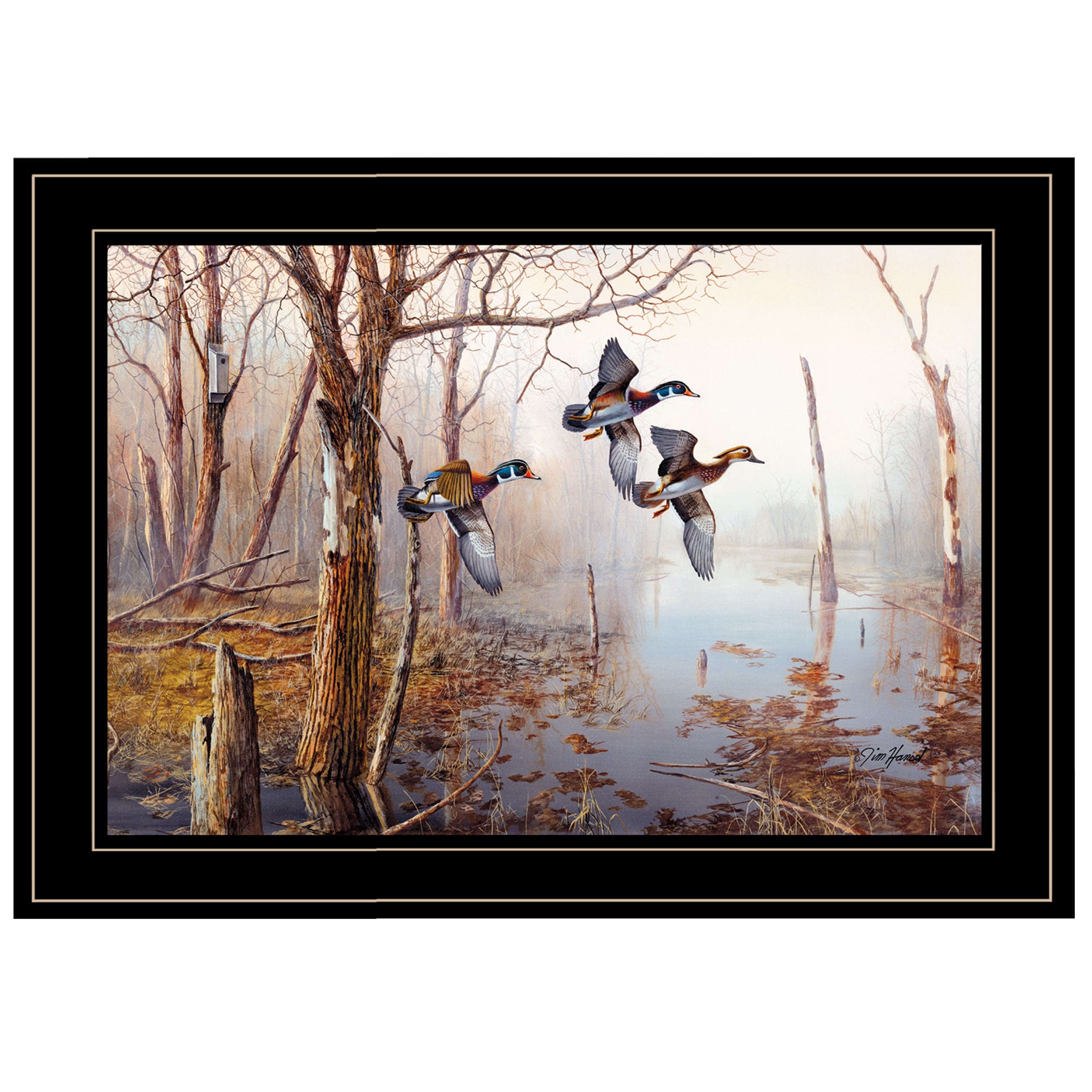 "Master of His Domain Collection" By Jim Hansen,, Ready to Hang Framed Print, Black Frame--1