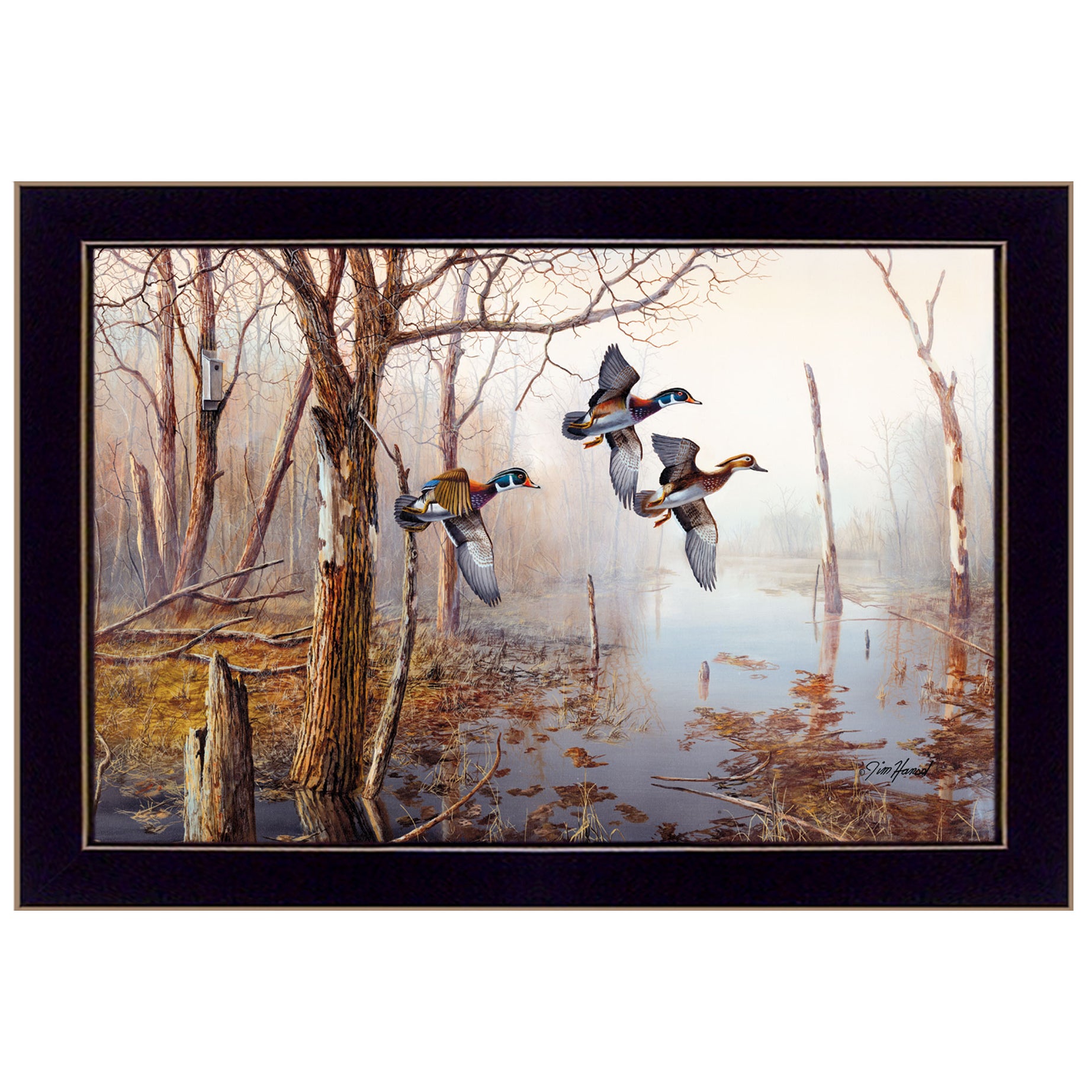 "Backwater" By Jim Hansen, Printed Wall Art, Ready To Hang Framed Poster, Black Frame--1