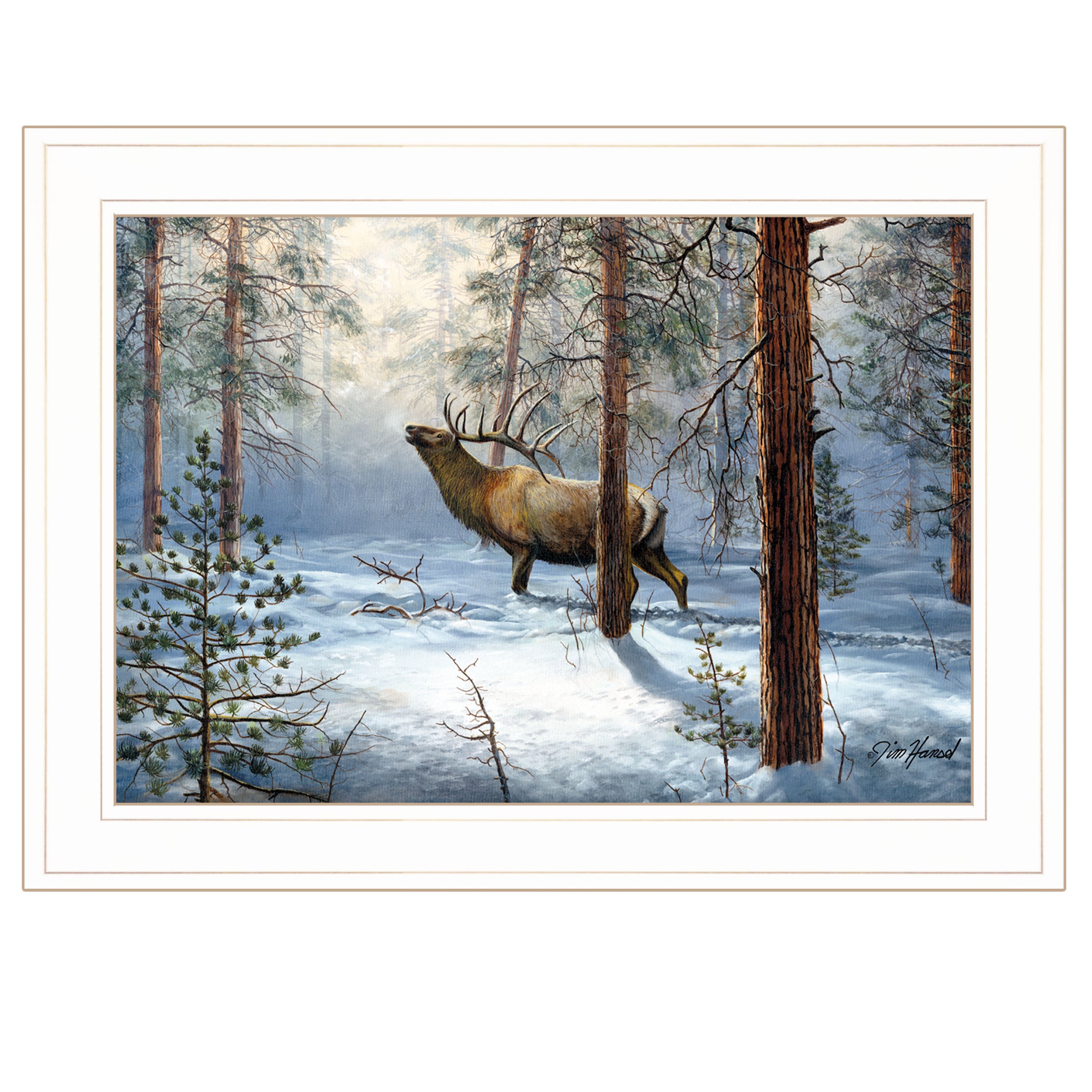 "Breaking the Silence" By Jim Hansen, Ready to Hang Framed Print, White Frame--1