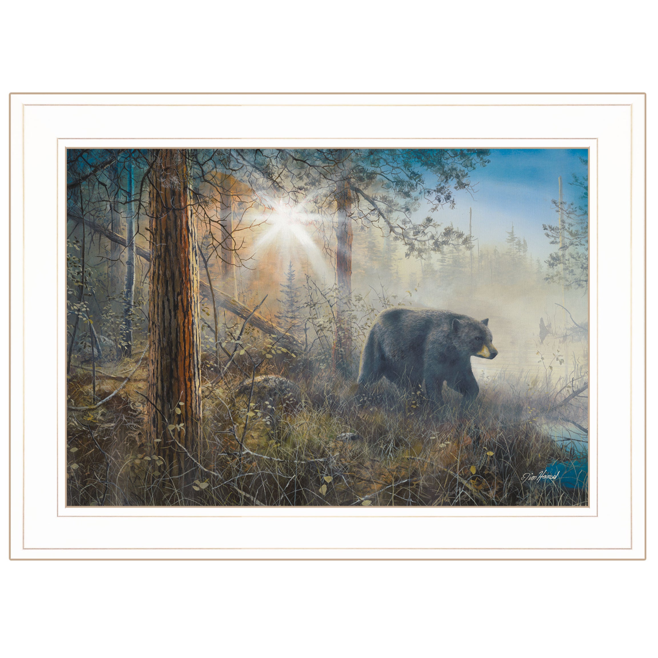 "Shadow in the Mist Collection" By Jim Hansen,, Ready to Hang Framed Print, White Frame--1