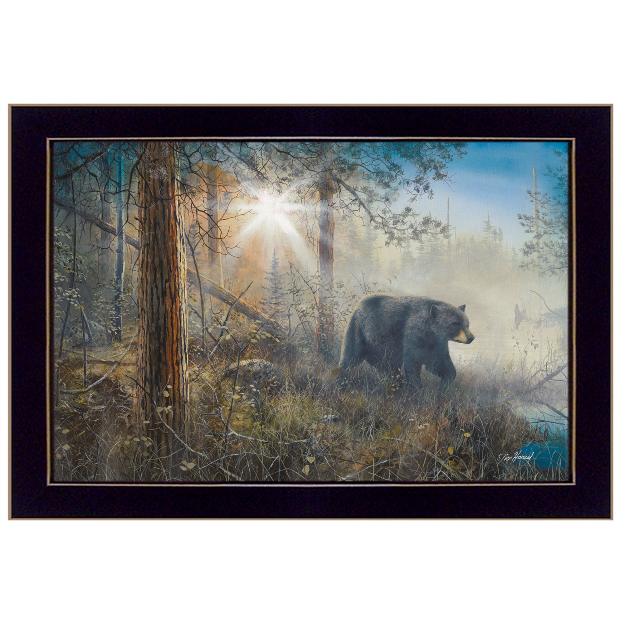 "Shadow in the Mist" By Jim Hansen, Printed Wall Art, Ready To Hang Framed Poster, Black Frame--1