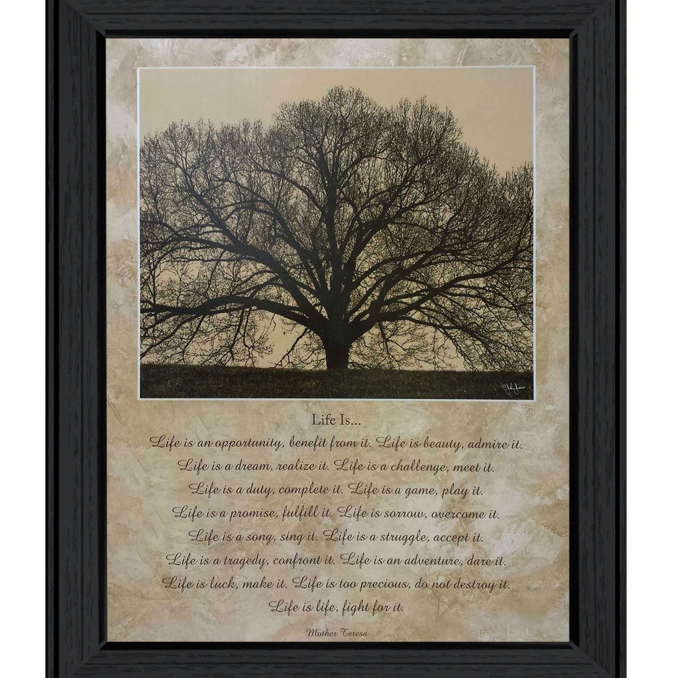 "Life Is" by Artisan John Jones, Ready to Hang Framed Print, Black Frame--1