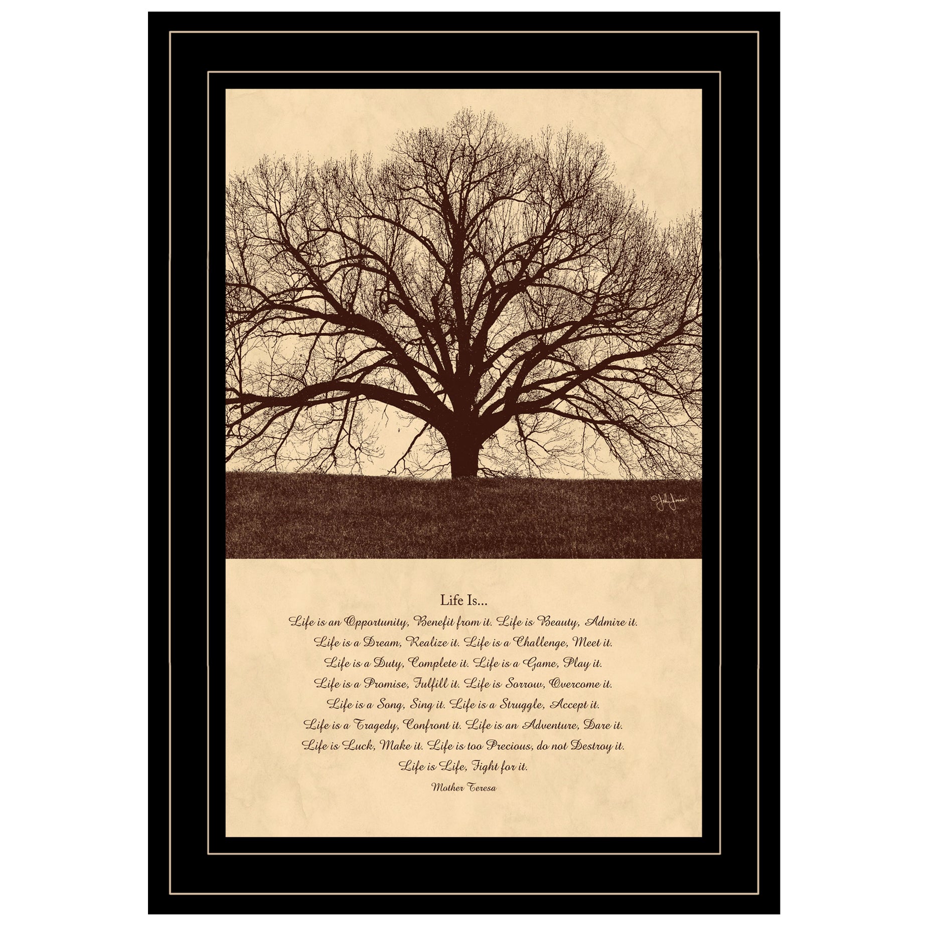 "Life Is" By John Jones, Ready to Hang Framed Print, Black Frame--1