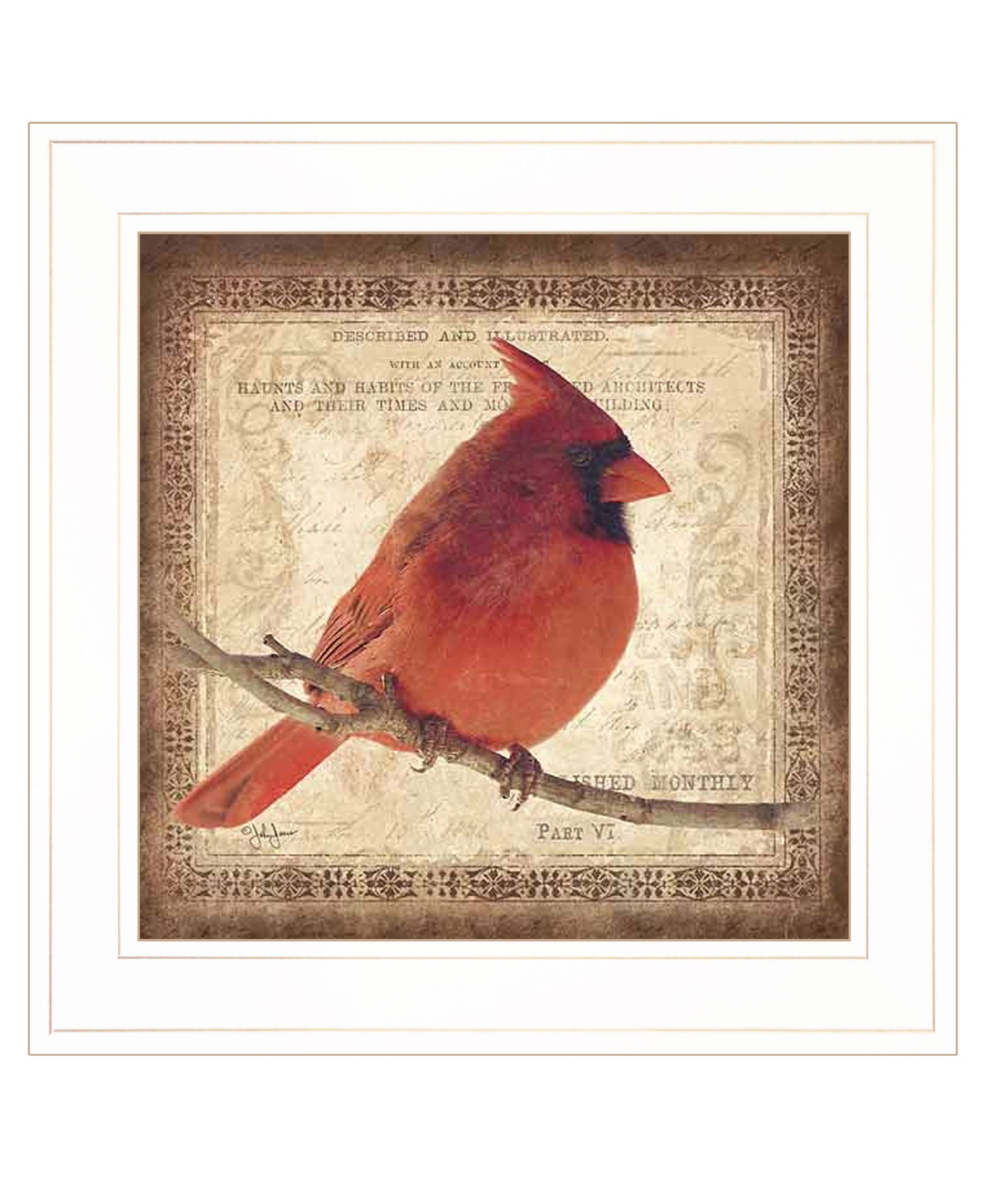 "Male Cardinal" by Artisan John Jones, Ready to Hang Framed Print, White Frame--1