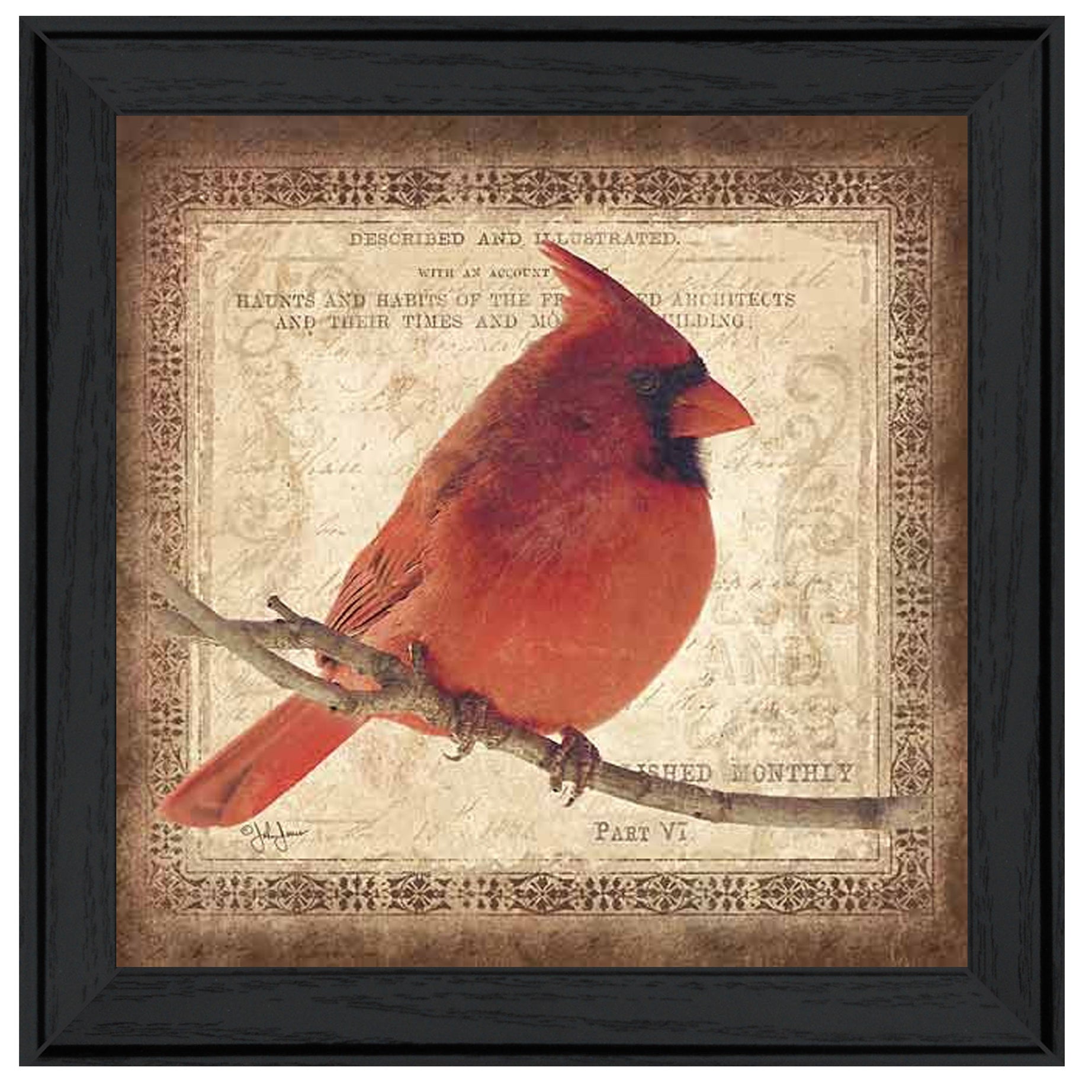 "Male Cardinal" by Artisan John Jones, Ready to Hang Framed Print, Black Frame--1