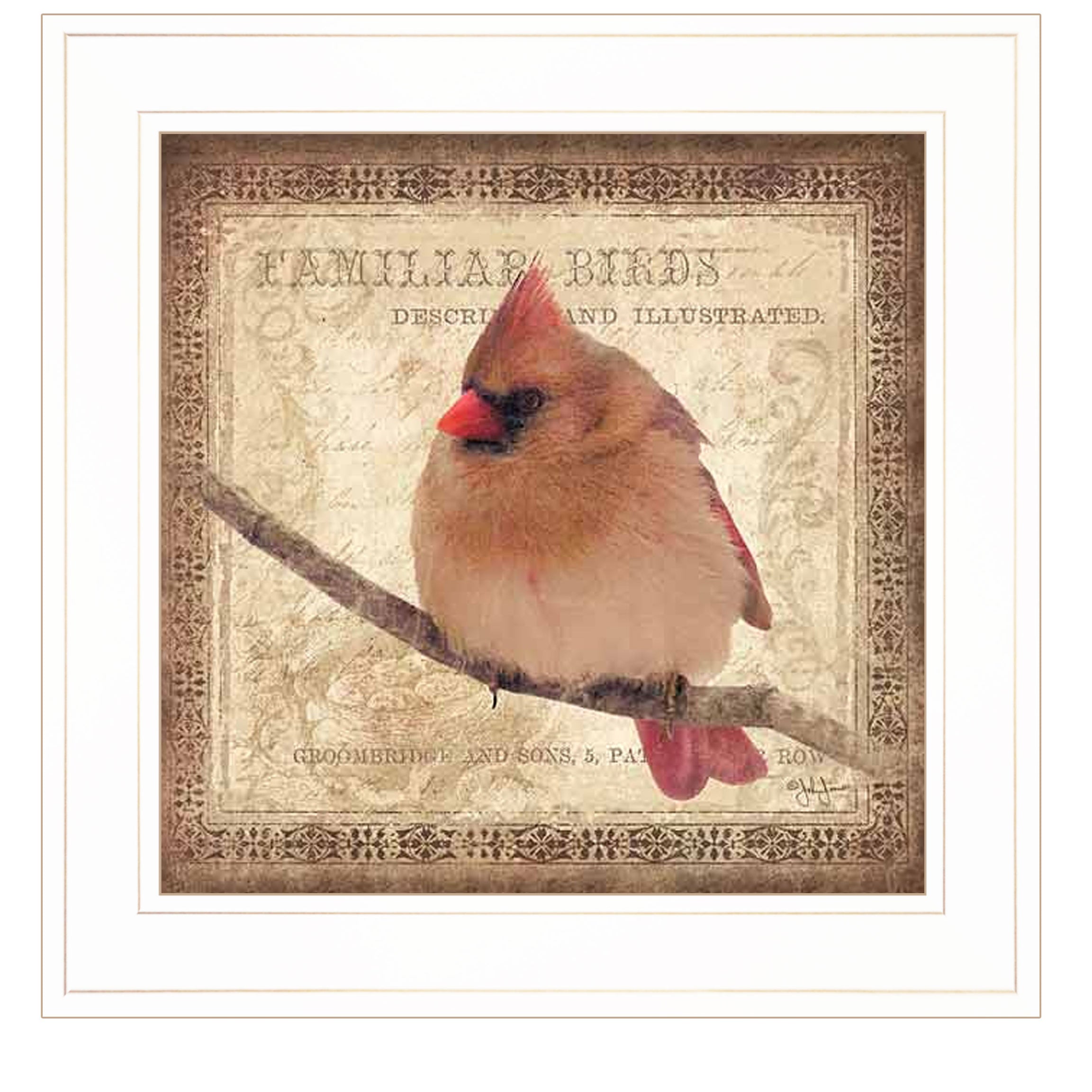 "Female Cardinal" by Artisan John Jones, Ready to Hang Framed Print, White Frame--1