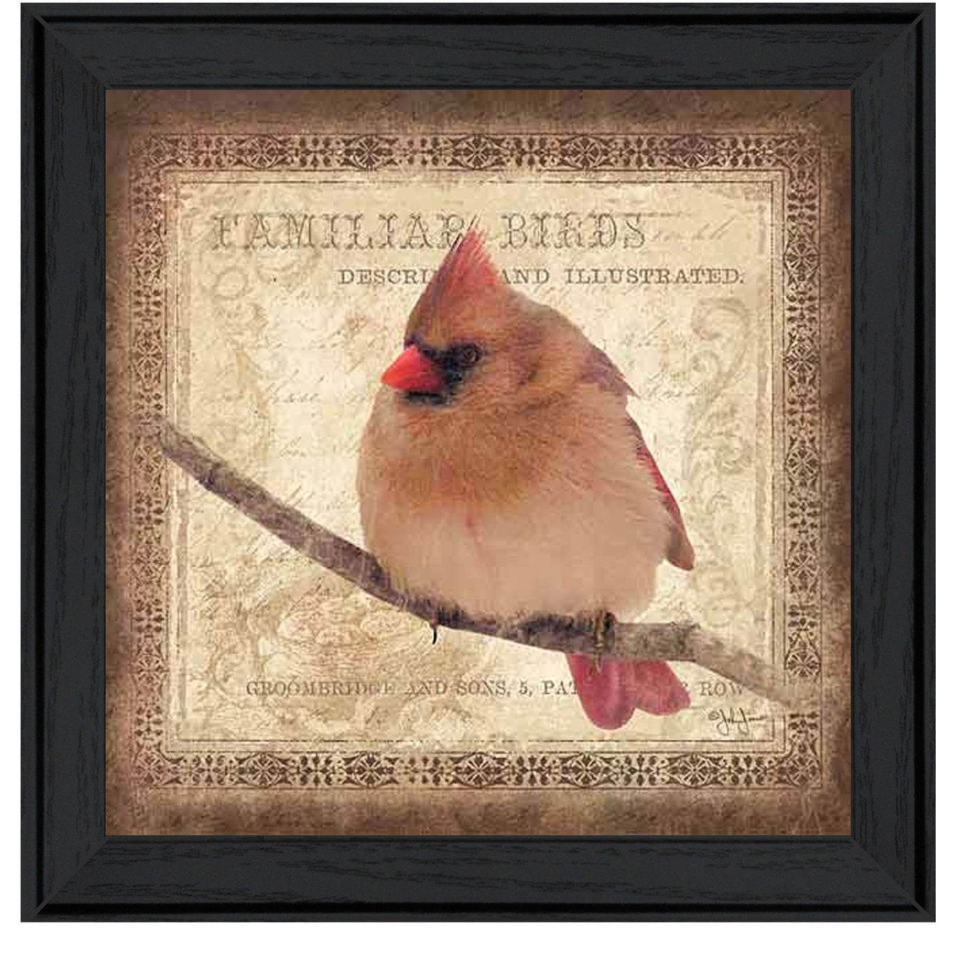 "Female Cardinal" by Artisan John Jones, Ready to Hang Framed Print, Black Frame--1