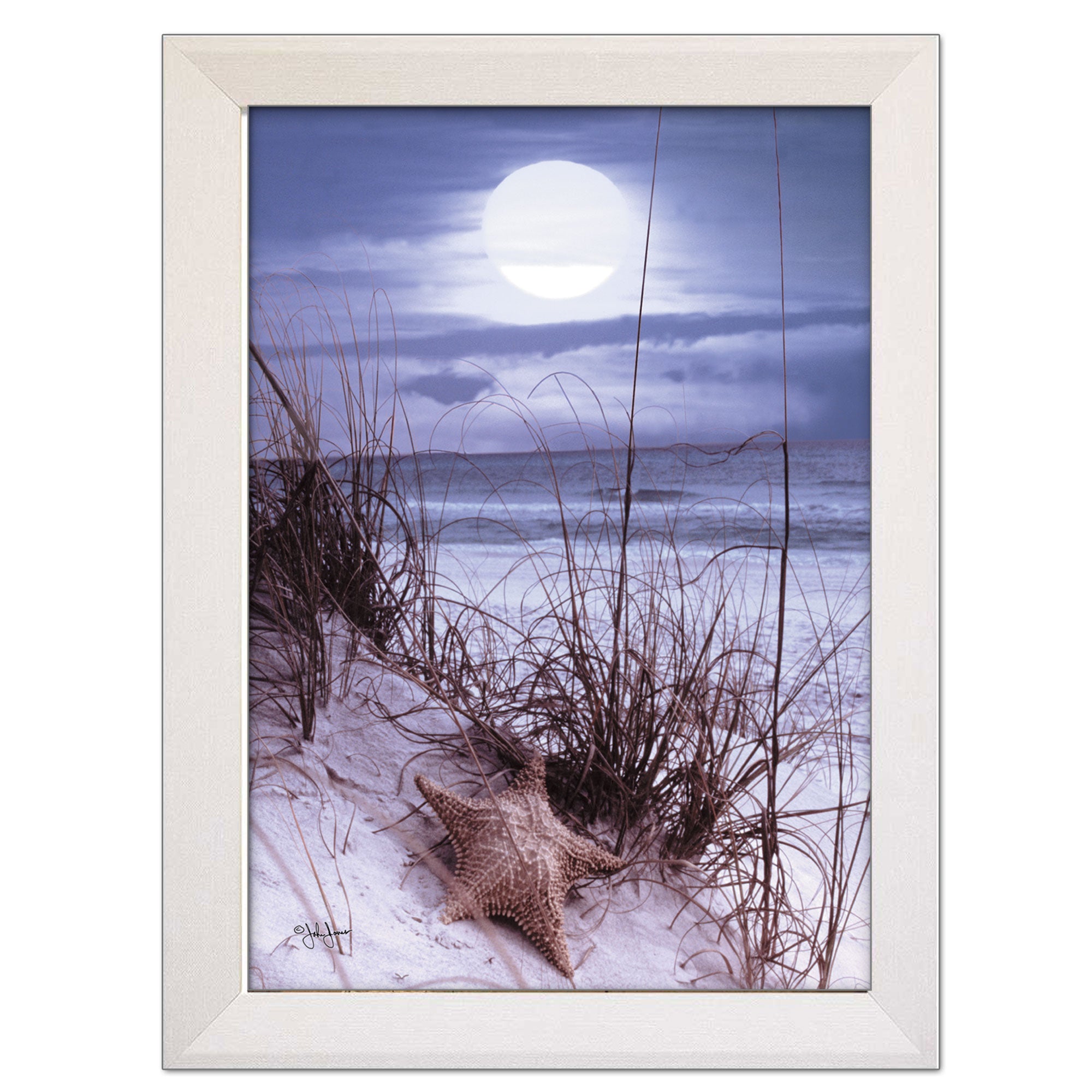 "The Seashore" By John Jones, Printed Wall Art, Ready To Hang Framed Poster, White Frame--1