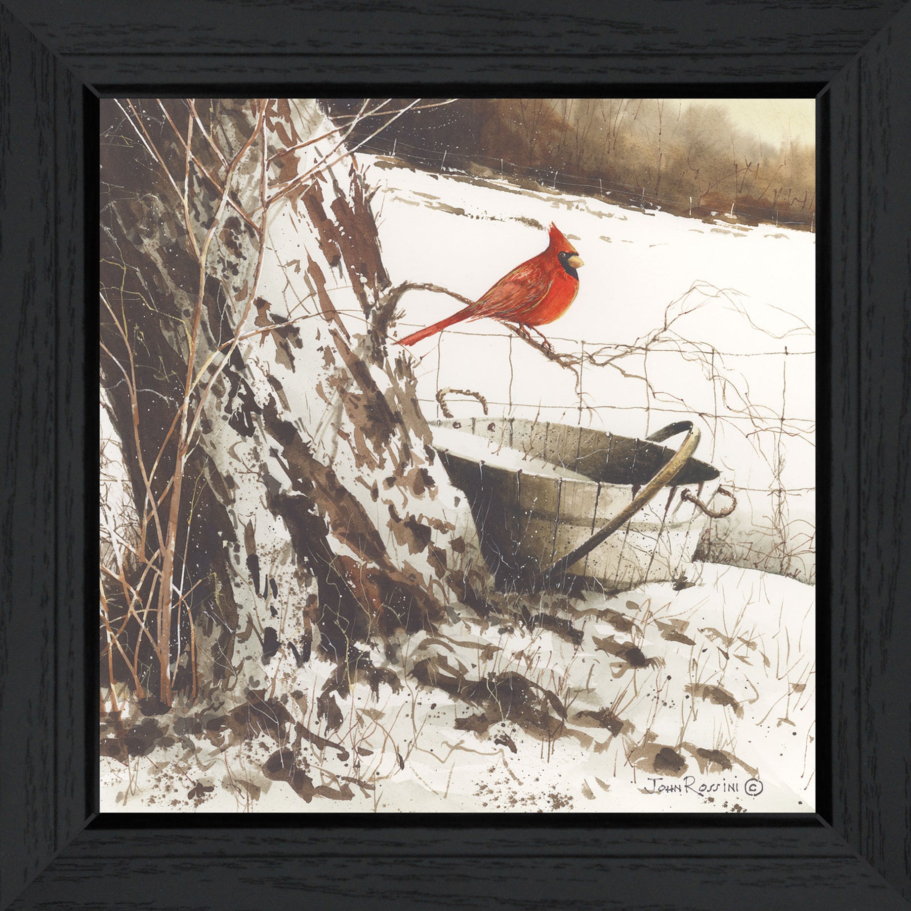 "Country Cardinal" By John Rossini, Printed Wall Art, Ready To Hang Framed Poster, Black Frame--1