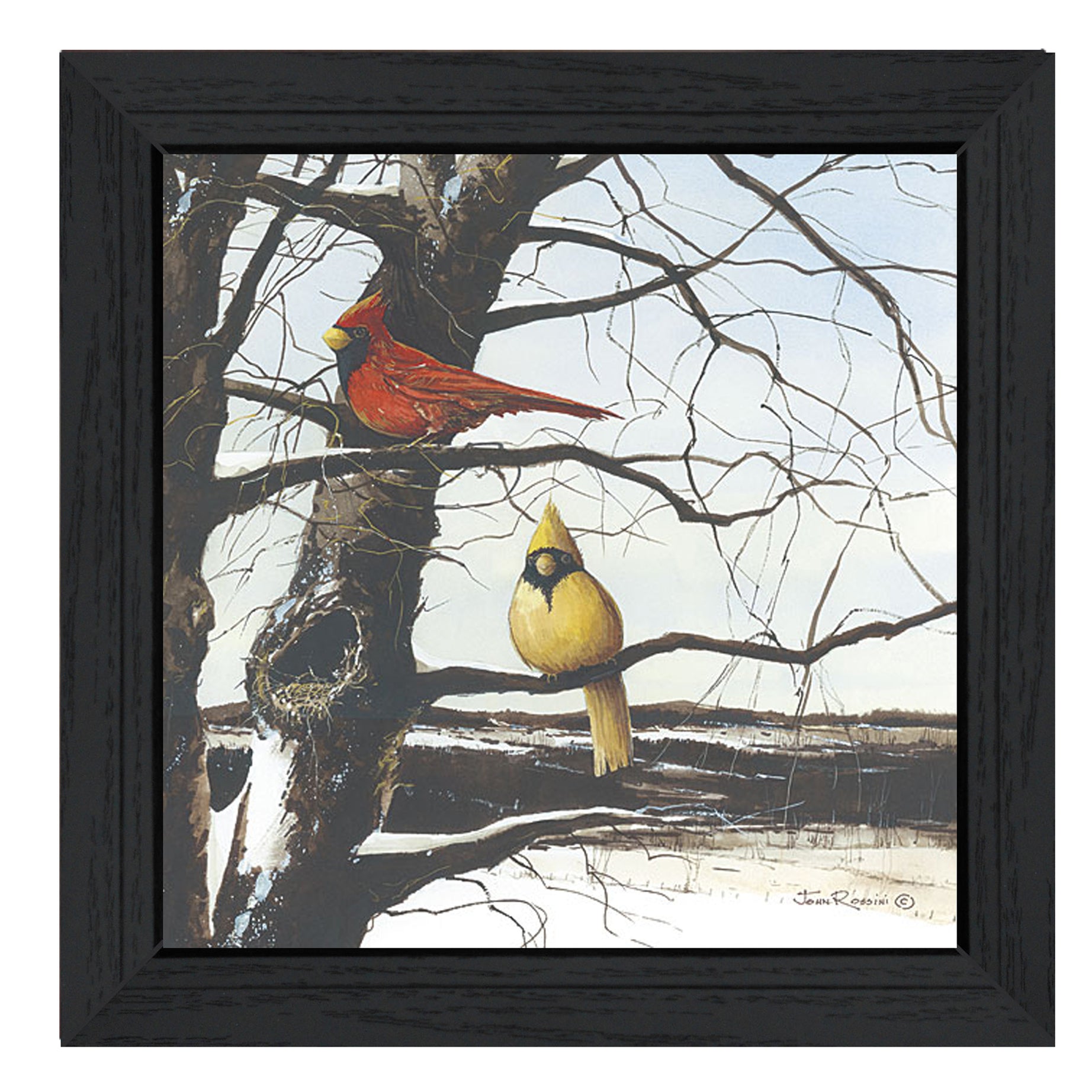 "A View from Above" By John Rossini, Printed Wall Art, Ready To Hang Framed Poster, Black Frame--1