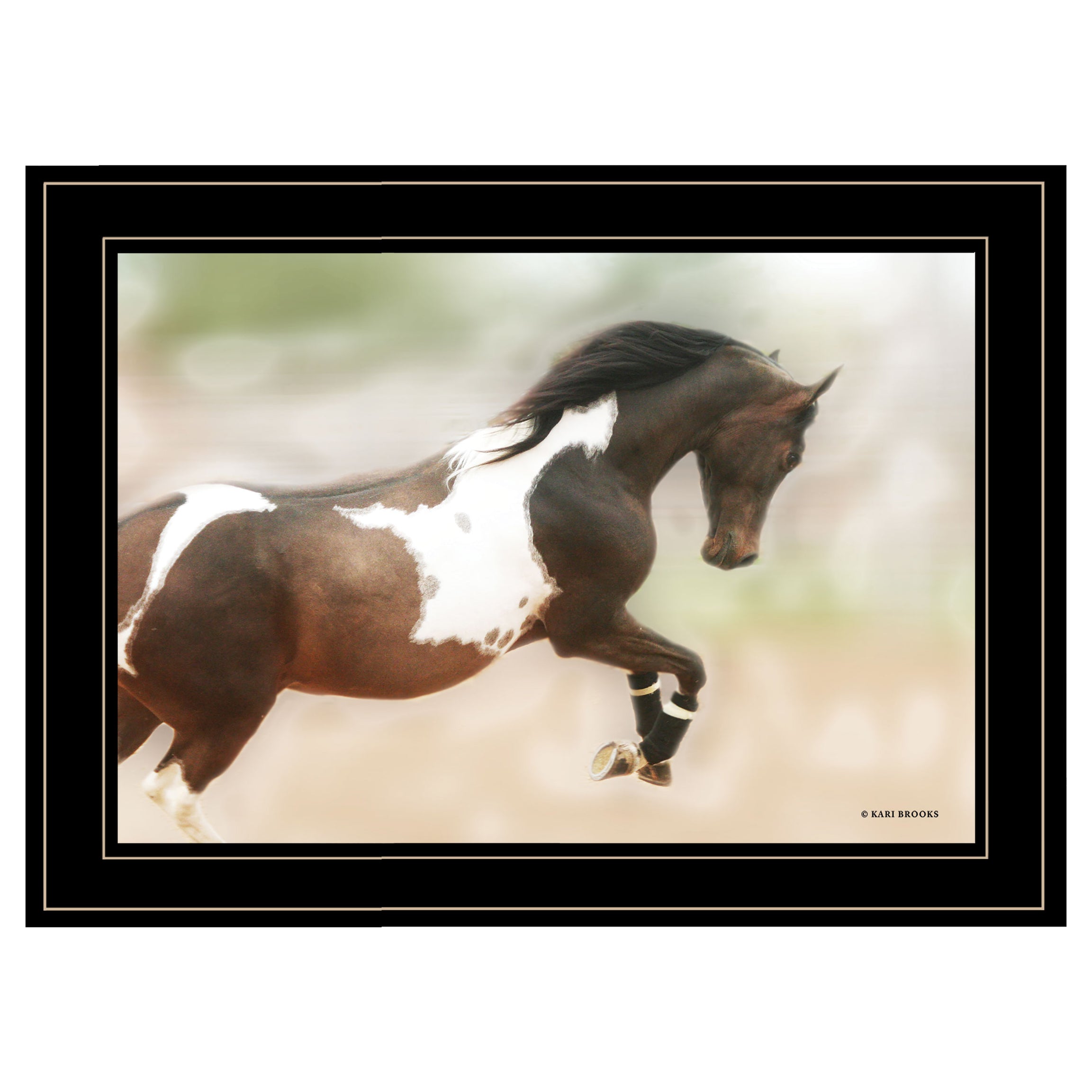 "A Wild Kookie" By Kari Brooks, Ready to Hang Framed Print, Horse Wall Art, Black Frame--1