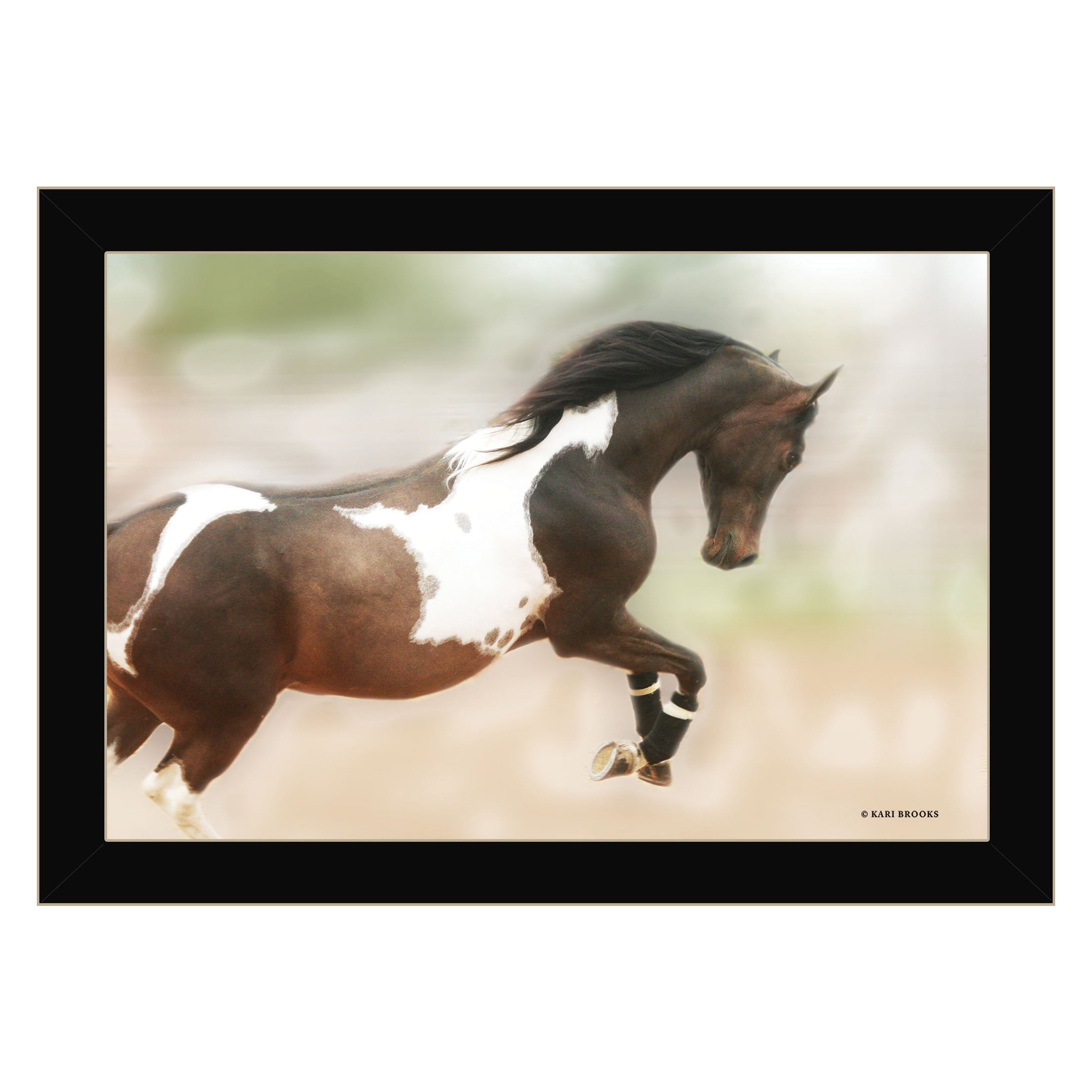 "A Wild Kookie" By Kari Brooks, Ready to Hang Framed Print, Horse Wall Art, Black Frame--1