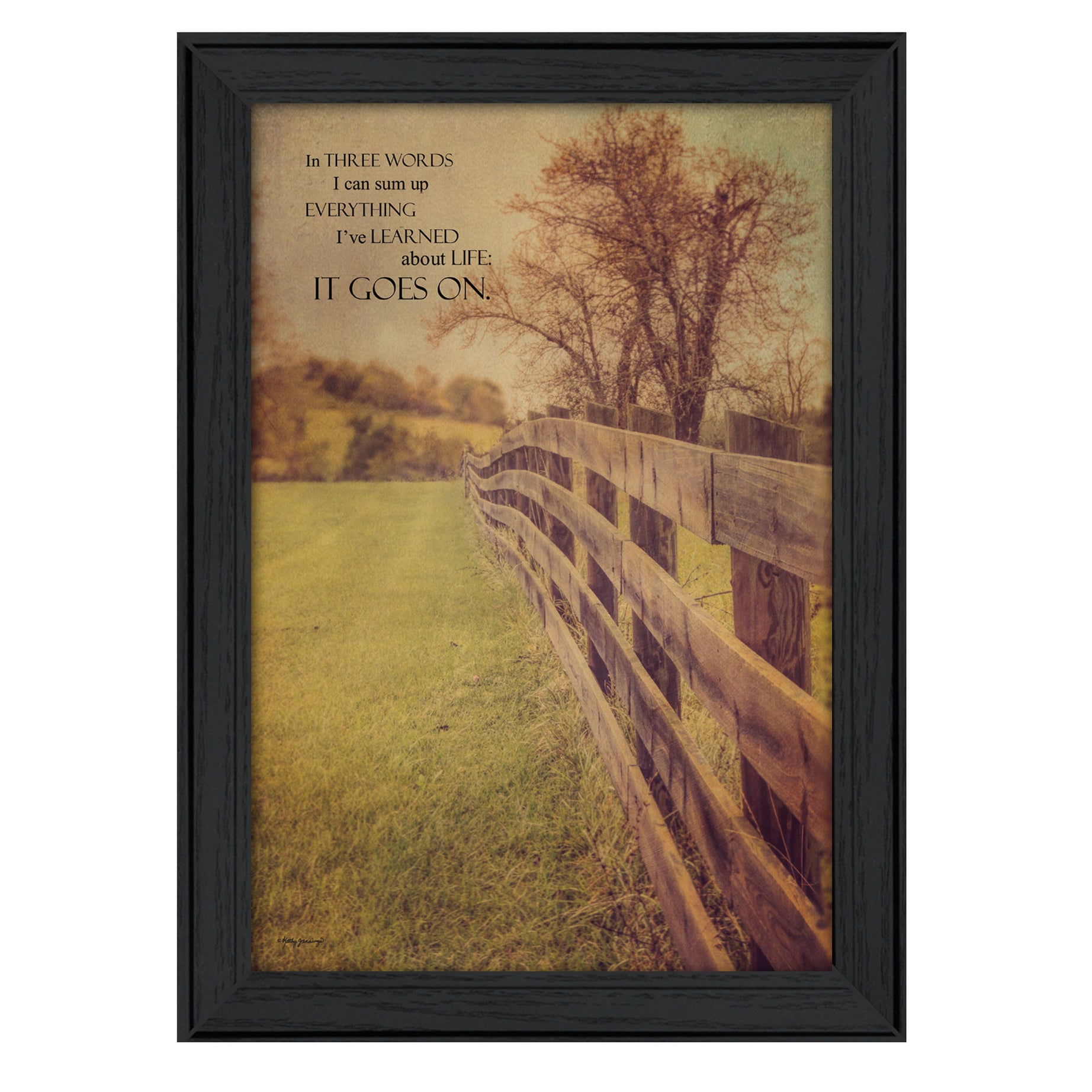 "Life Goes On" By Kathy Jennings, Printed Wall Art, Ready To Hang Framed Poster, Black Frame--1