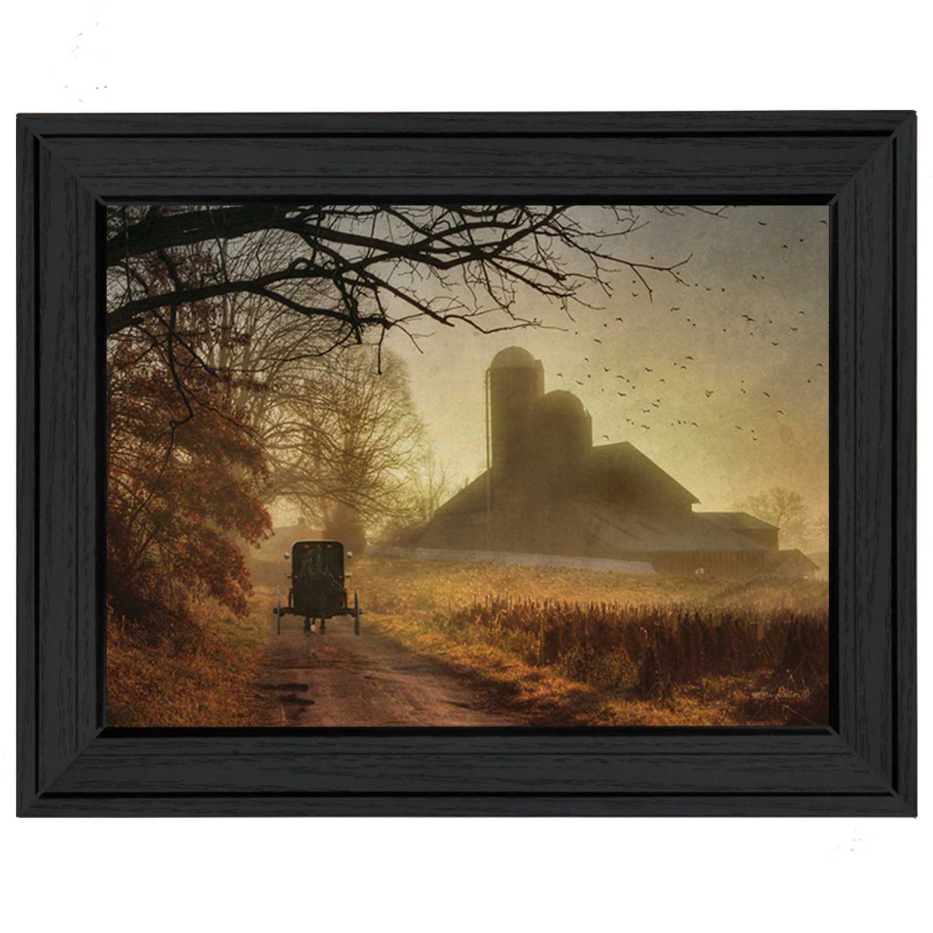 "Sunday Morning" By Lori Deiter, Printed Wall Art, Ready To Hang Framed Poster, Black Frame--1