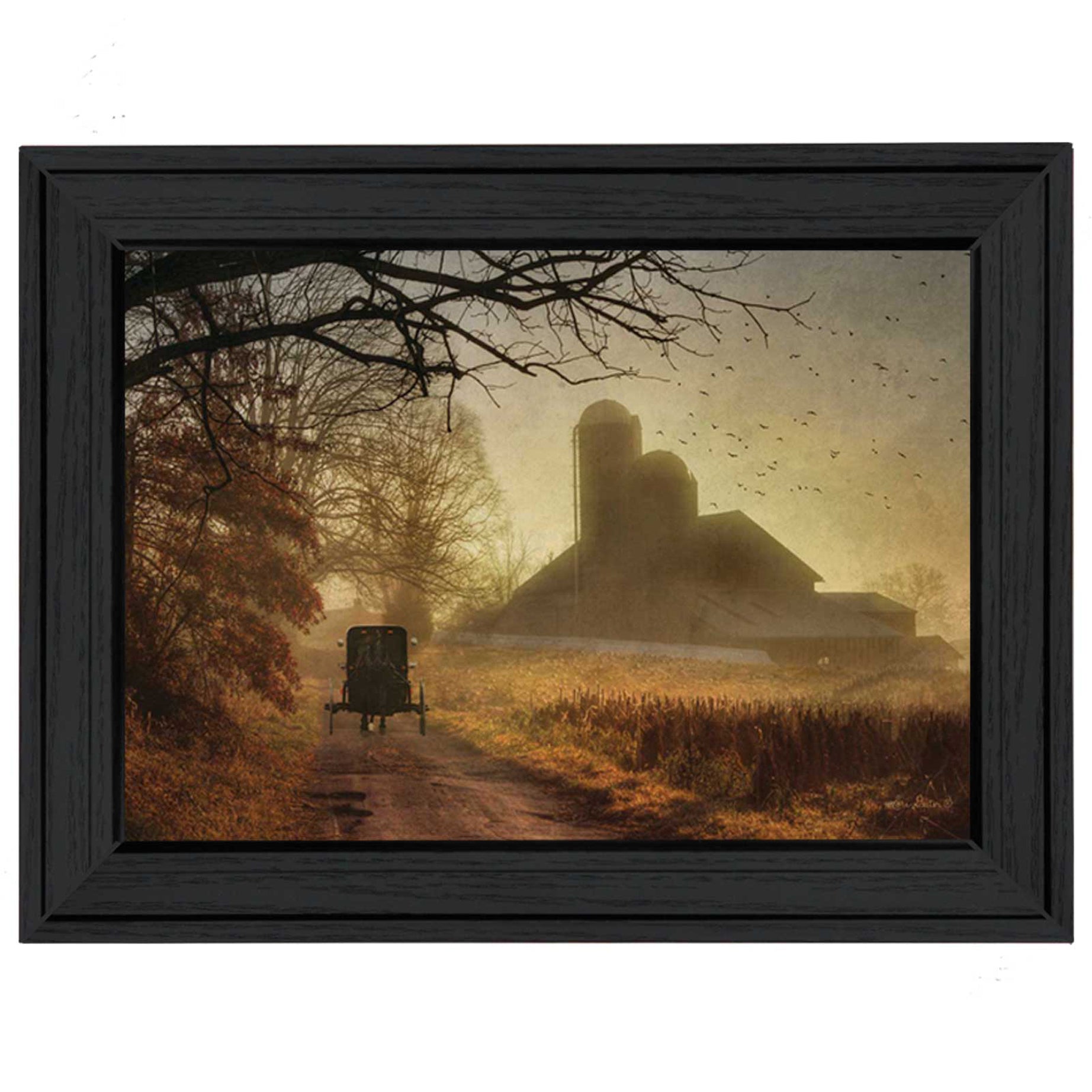 "Sunday Morning" By Lori Deiter, Printed Wall Art, Ready To Hang Framed Poster, Black Frame--1