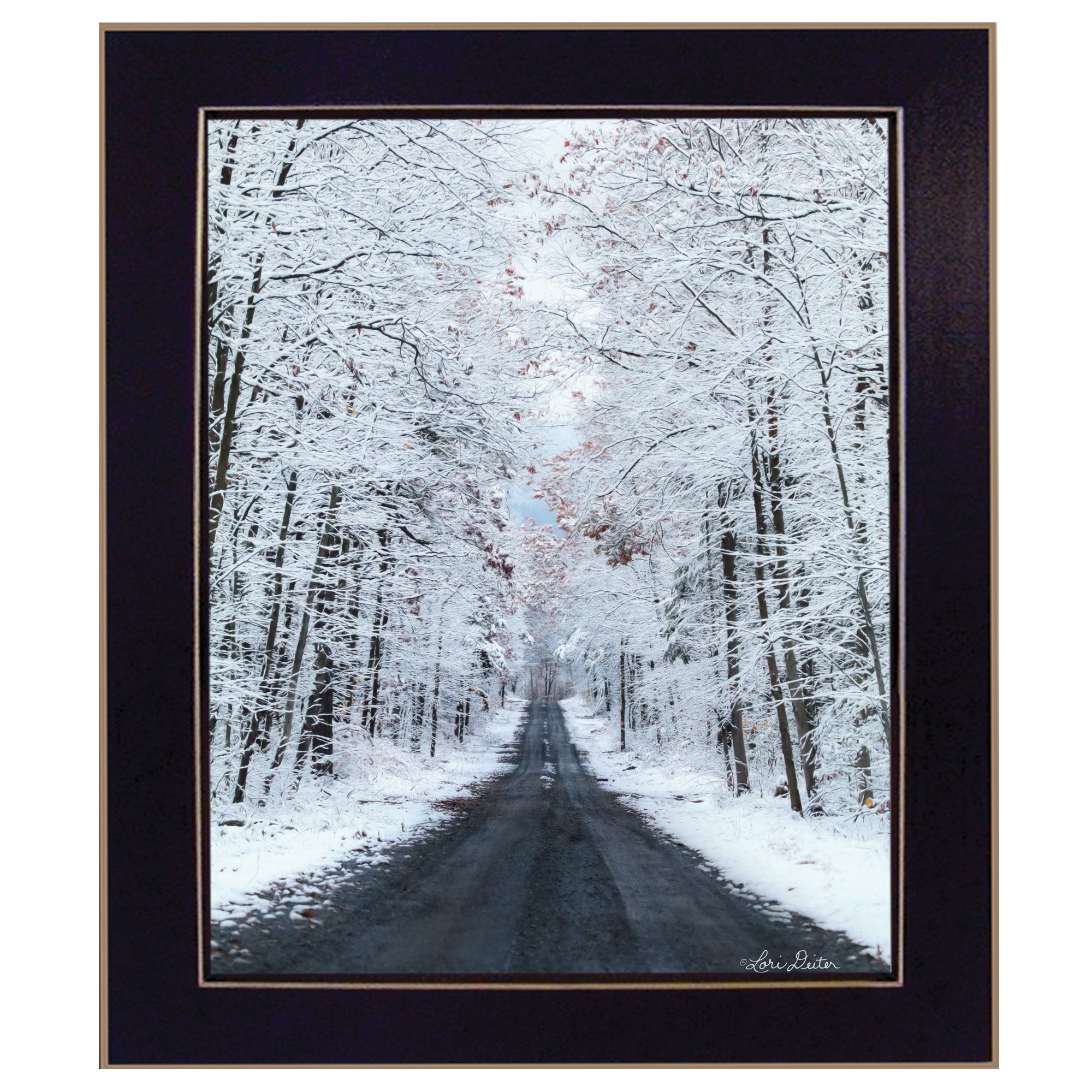 "All Roads lead Home (winter lane)" by Lori Deiter, Ready to Hang Framed Print, Black Frame--1