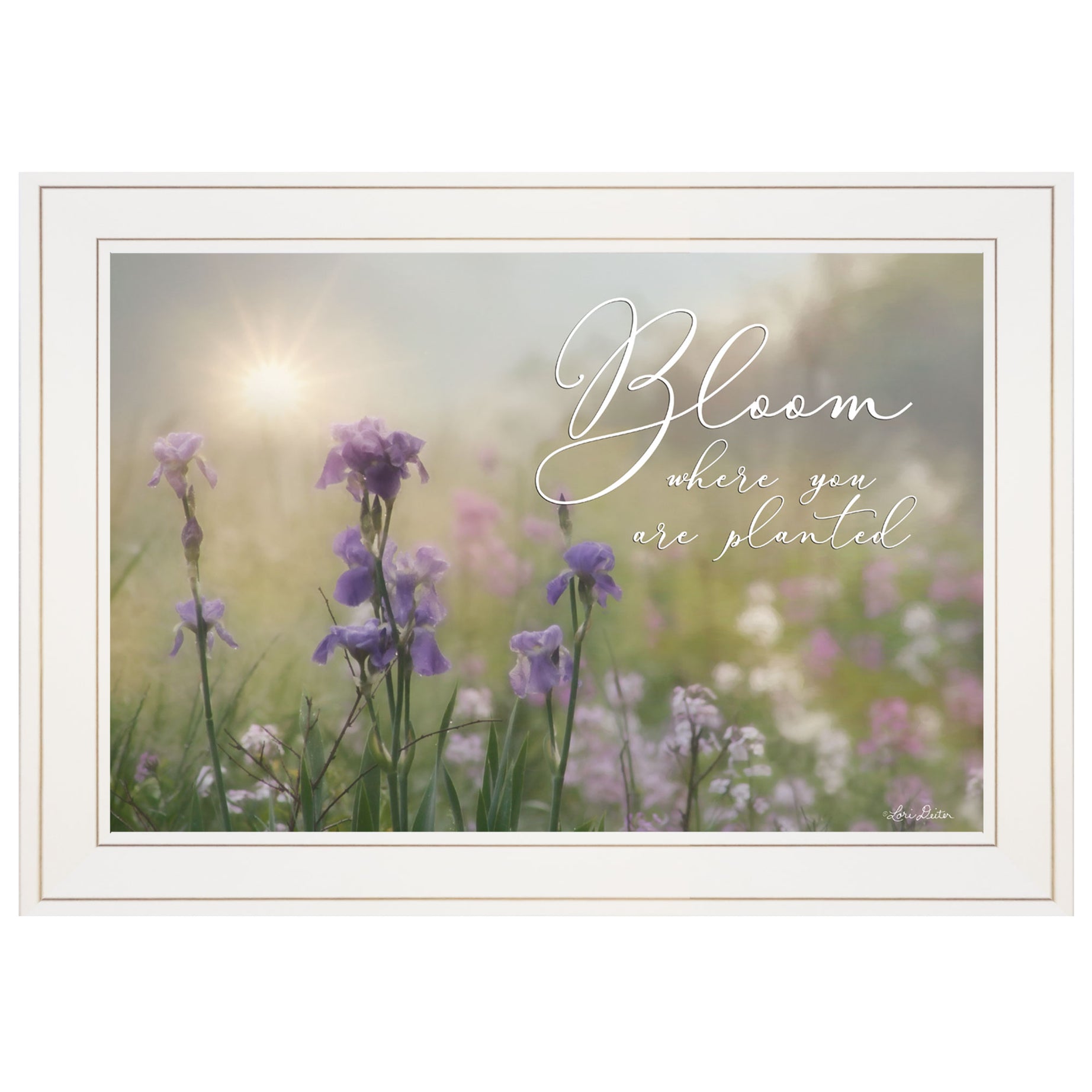 "Bloom where you are planted" by Artisan Lori Deiter , Ready to Hang Framed Print, White Frame--1