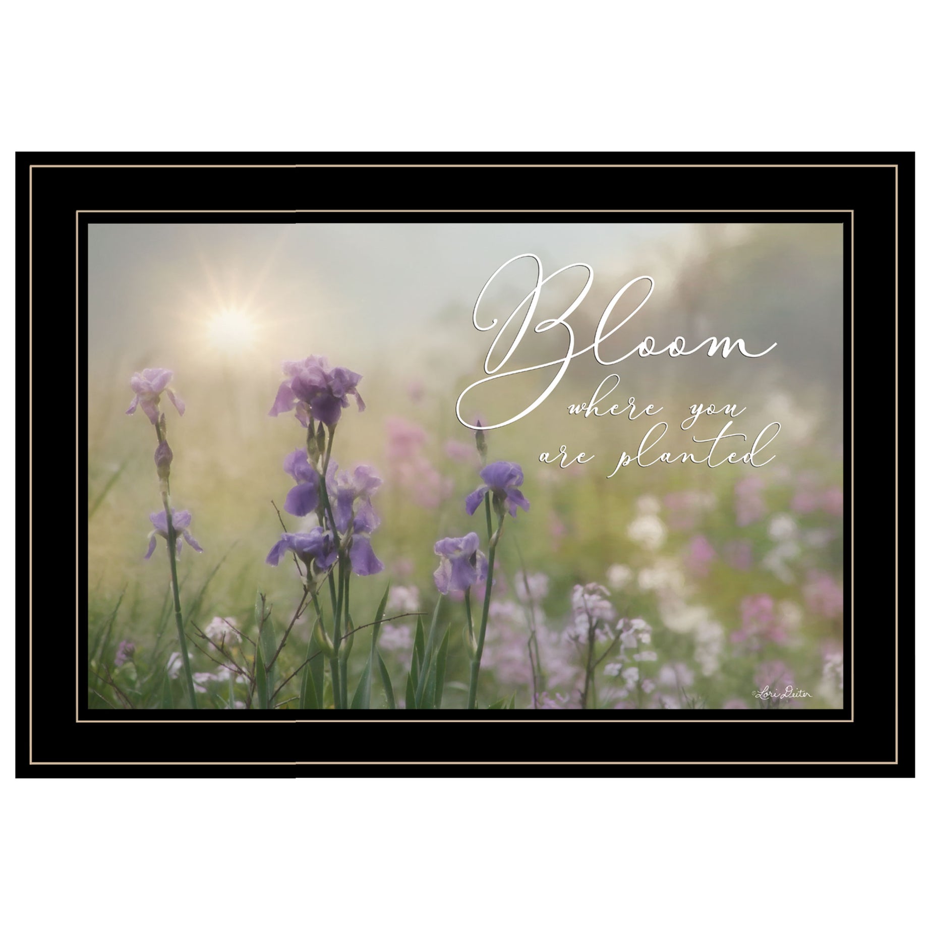 "Bloom where you are planted" by Artisan Lori Deiter , Ready to Hang Framed Print, Black Frame--1