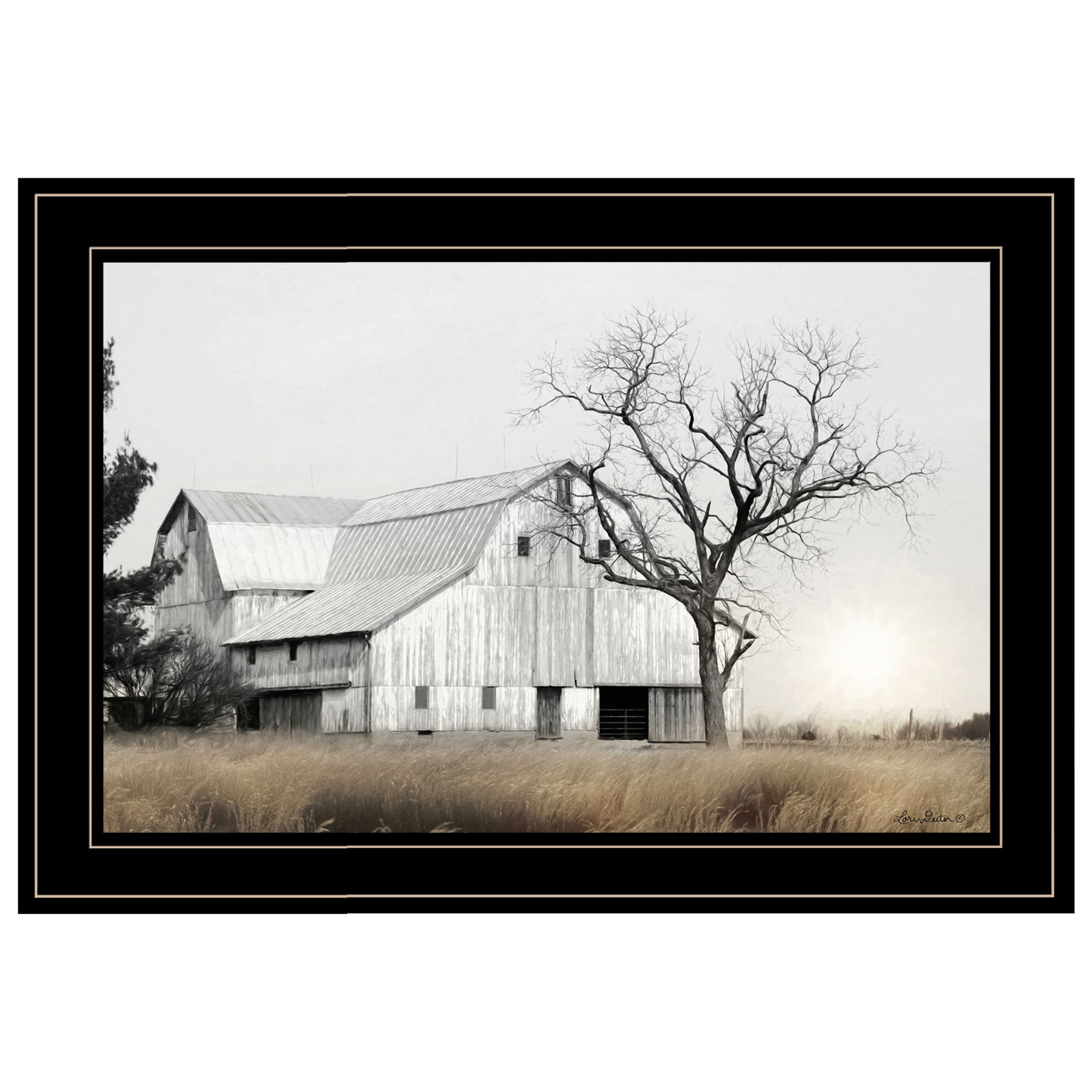 "Ohio Fields I" by Lori Deiter, Ready to Hang Framed Print, Black Frame--1