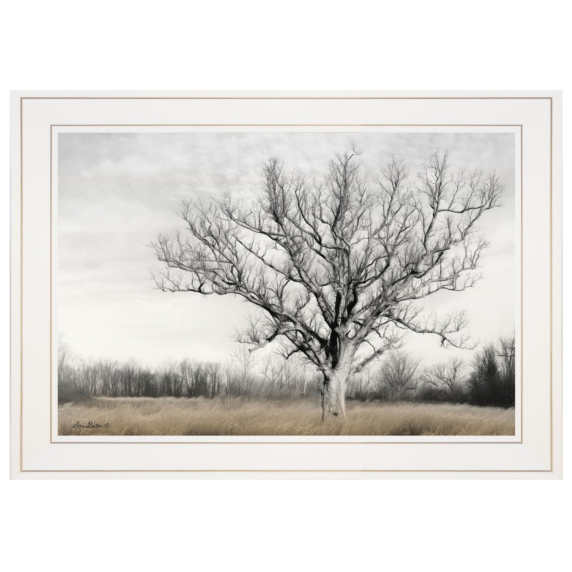 "Earth & Sky" by Lori Deiter, Ready to Hang Framed Print, White Frame--1