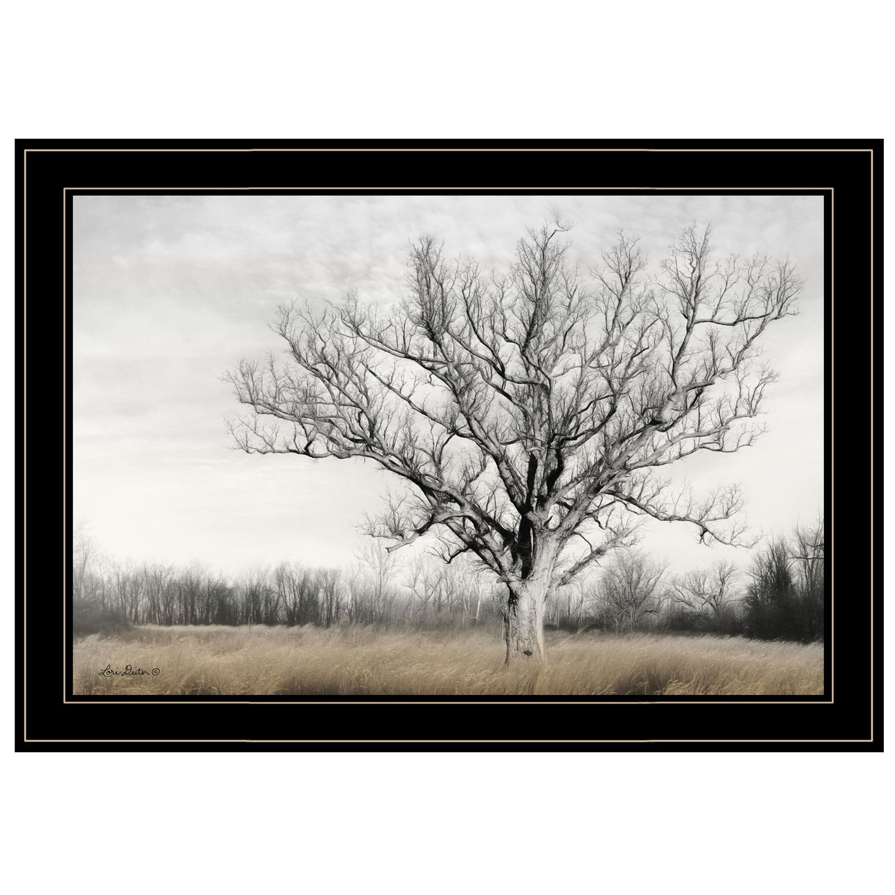 "Earth & Sky" by Lori Deiter, Ready to Hang Framed Print, Black Frame--1