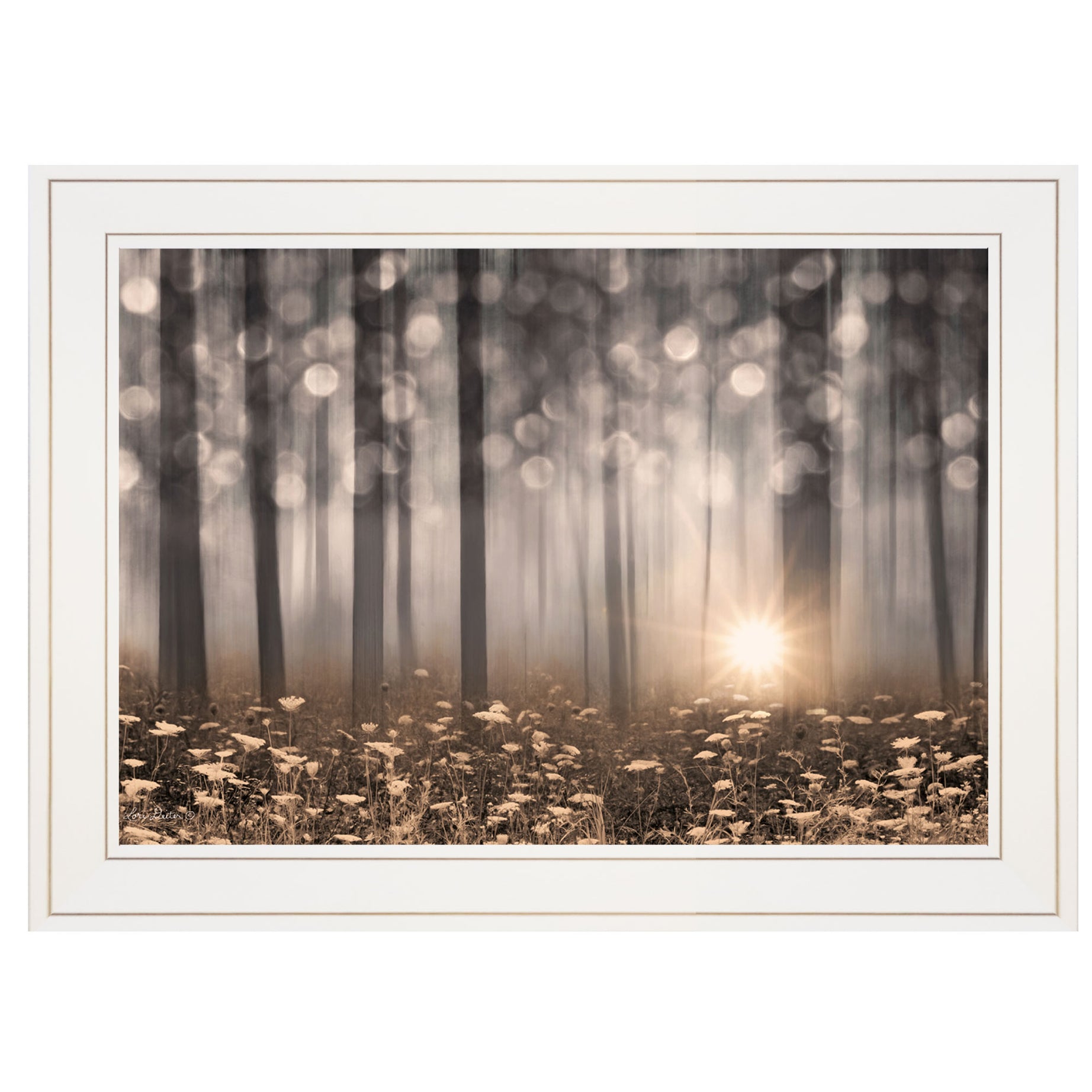 "Enchanted Morning" by Lori Deiter, Ready to Hang Framed Print, White Frame--1