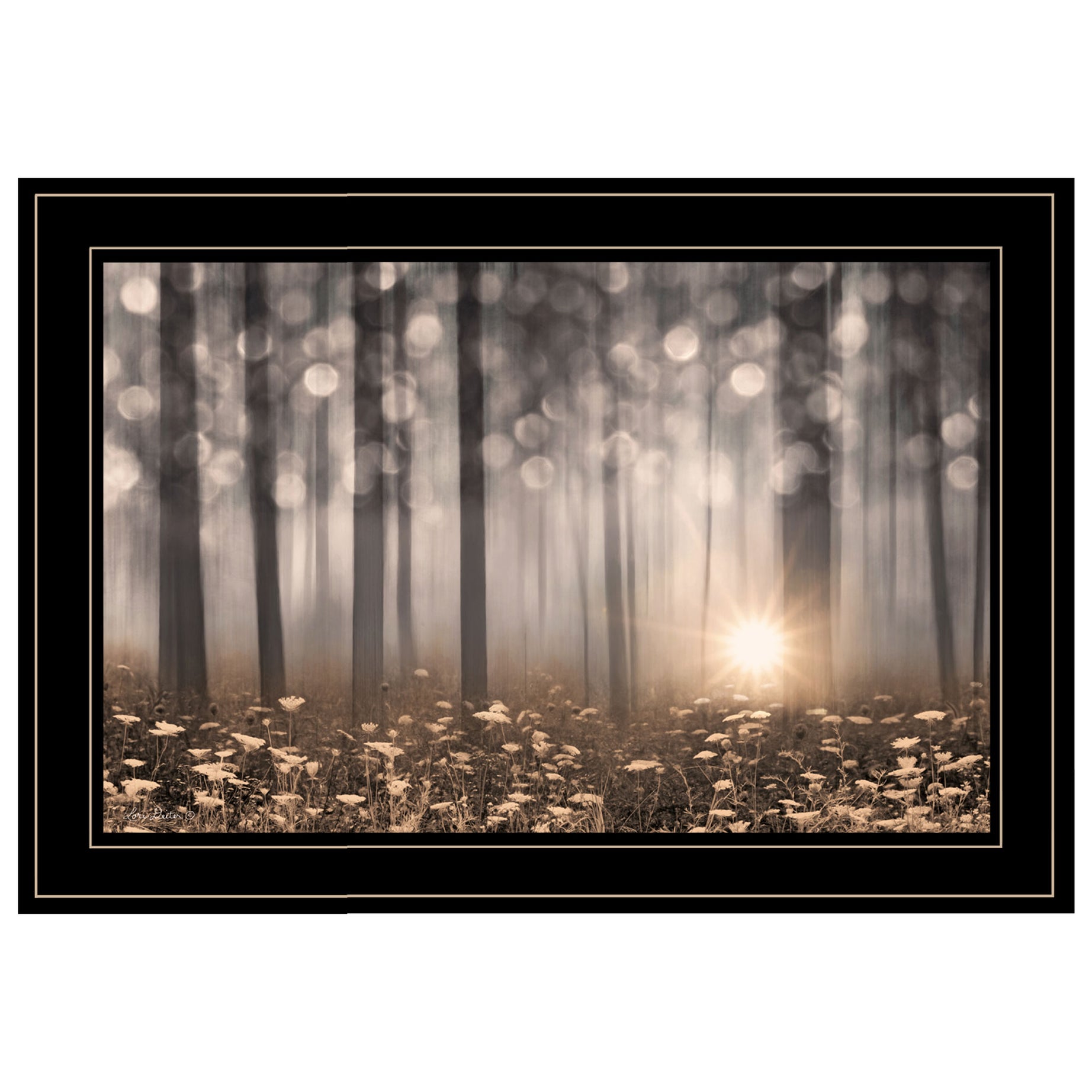 "Enchanted Morning" by Lori Deiter, Ready to Hang Framed Print, Black Frame--1