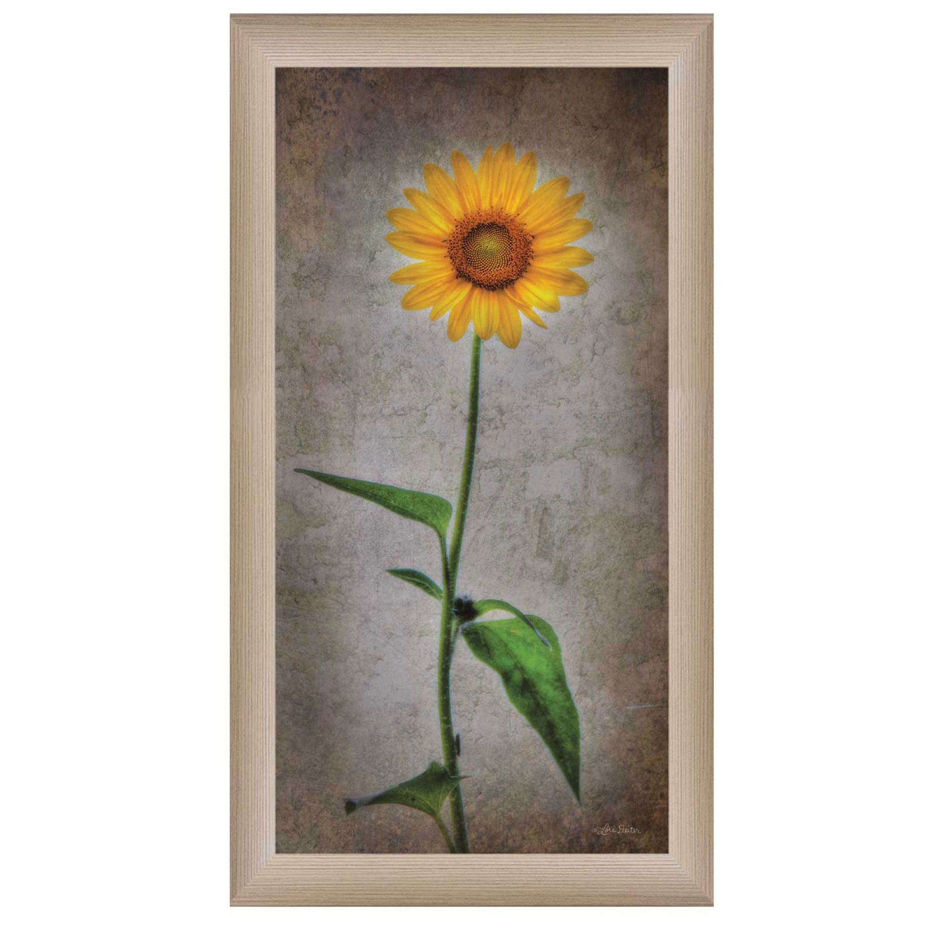 "Sunflower I" By Lori Deiter, Printed Wall Art, Ready To Hang Framed Poster, Beige Frame--1