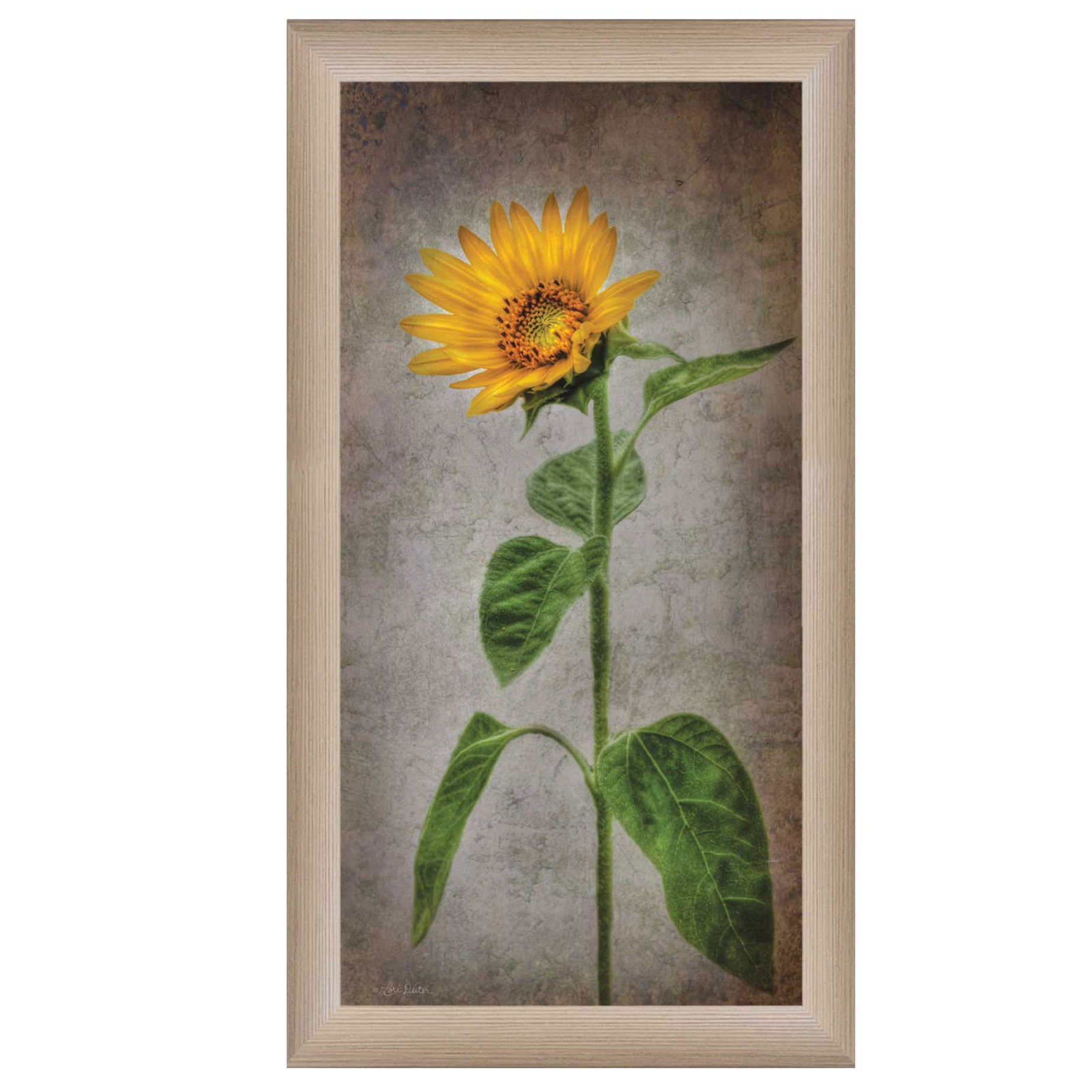 "Sunflower II" By Lori Deiter, Printed Wall Art, Ready To Hang Framed Poster, Beige Frame--1