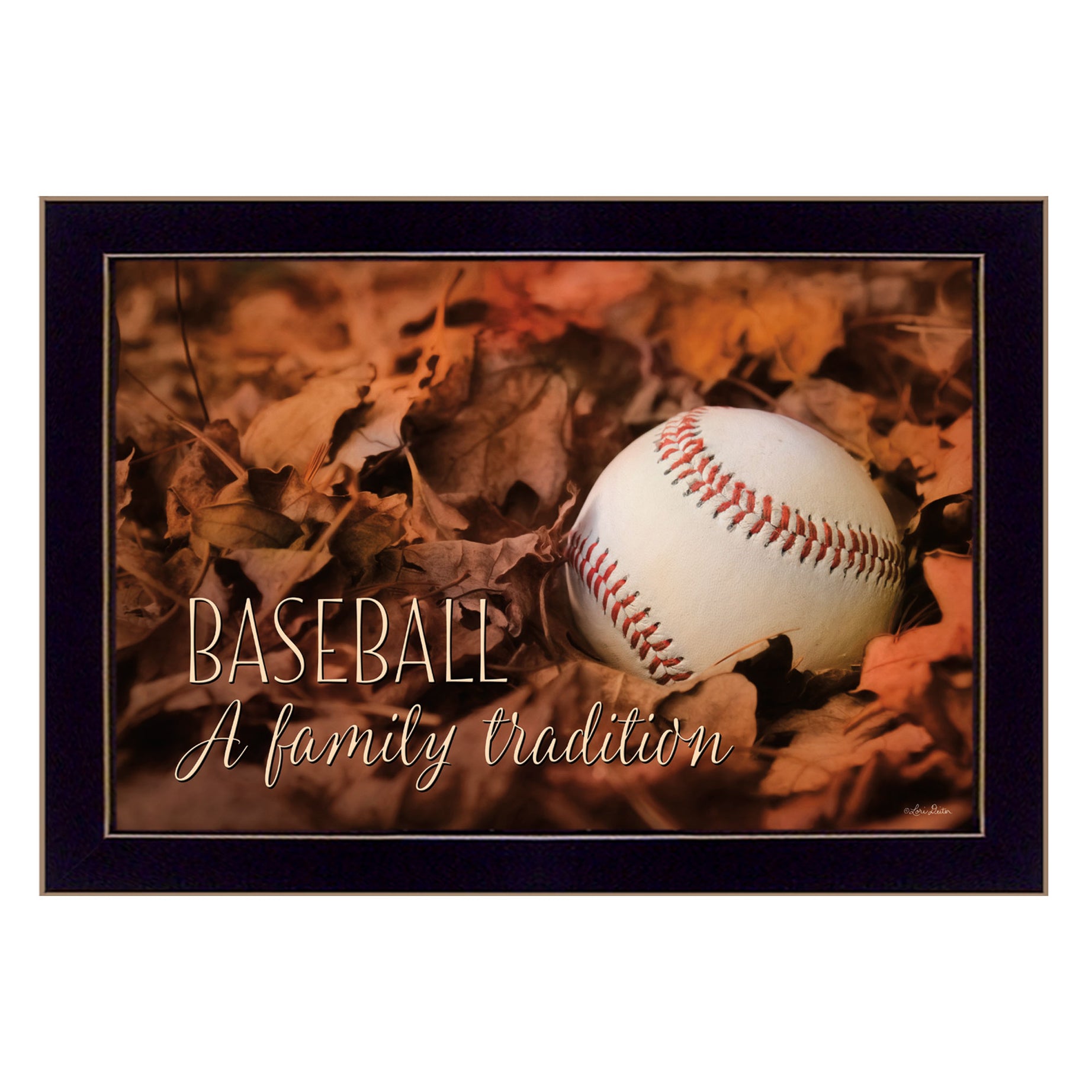 "Baseball - A Family Tradition" By Lori Deiter, Printed Wall Art, Ready To Hang Framed Poster, Black Frame--1