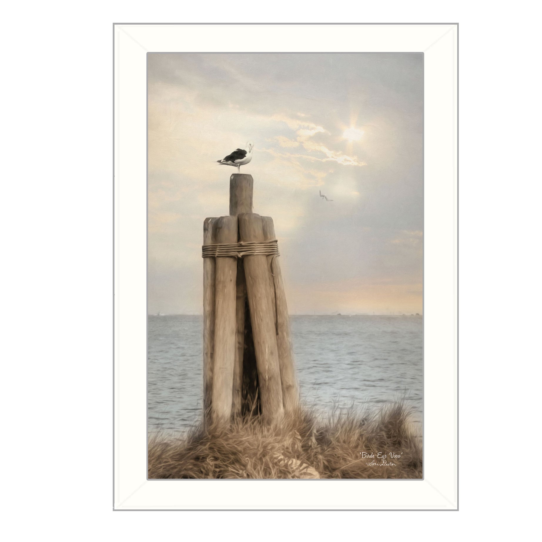 "Birds Eye View" By Lori Deiter, Printed Wall Art, Ready To Hang Framed Poster, White Frame--1