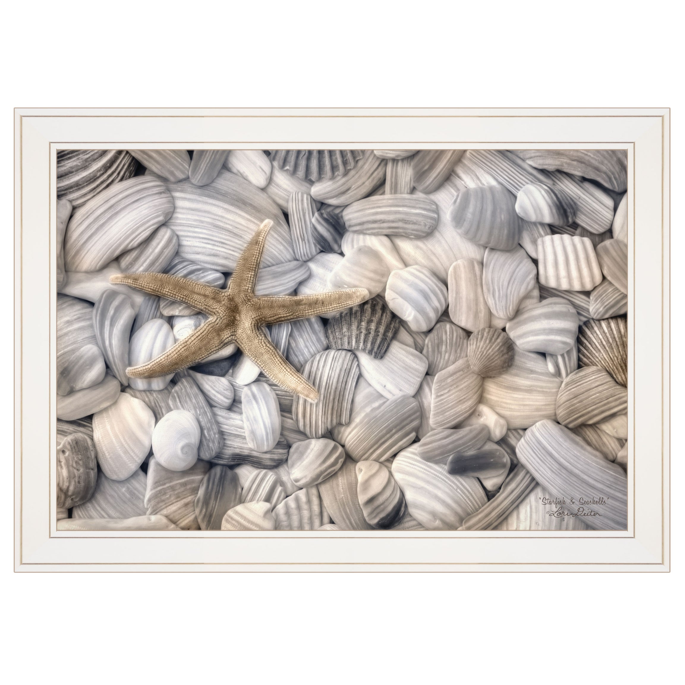 Trendy Decor 4U "Starfish & Seashells" Framed Wall Art, Modern Home Decor Framed Print for Living Room, Bedroom & Farmhouse Wall Decoration by Lori Deiter--1