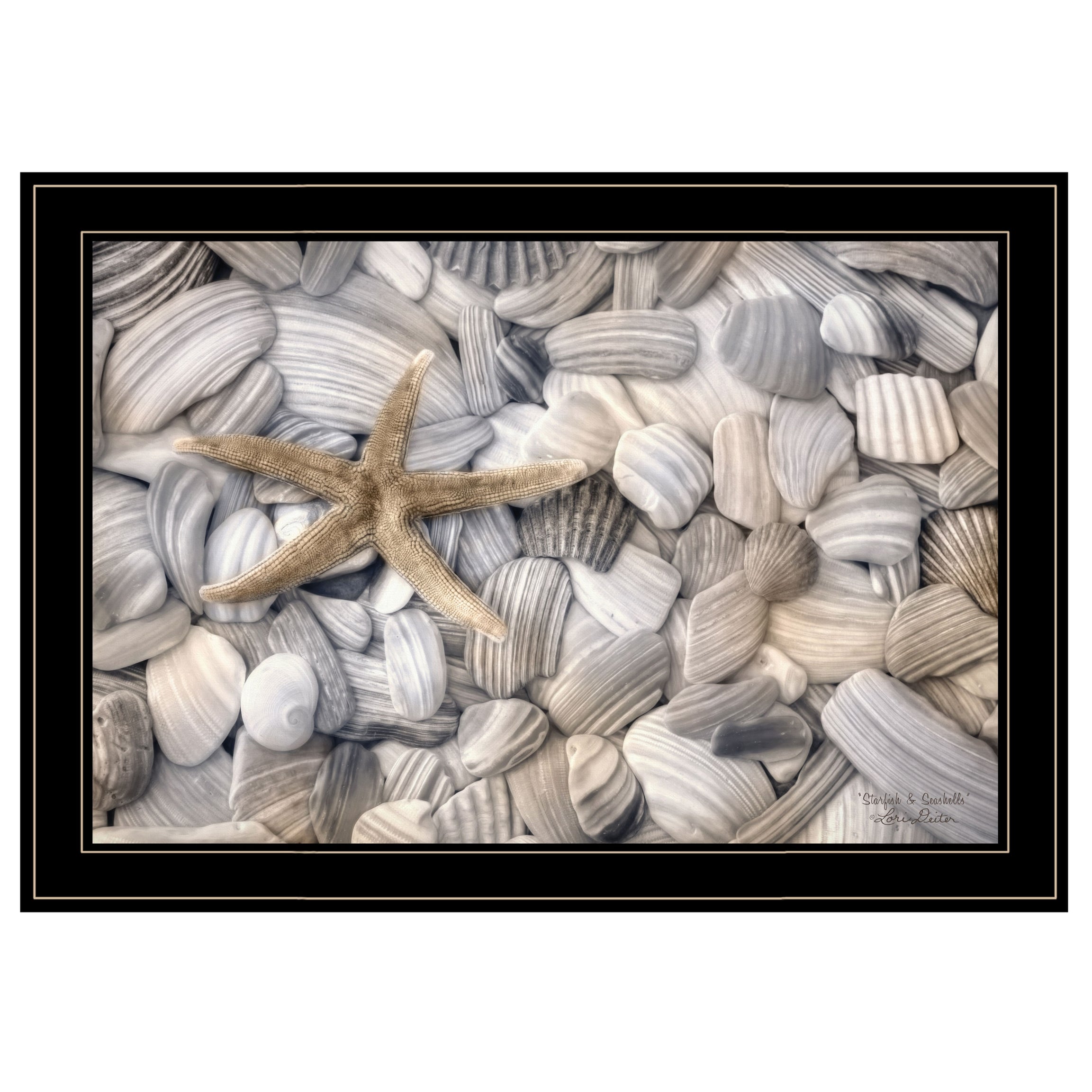 "Starfish & Seashells" By Lori Deiter, Ready to Hang Framed Print, Black Frame--1