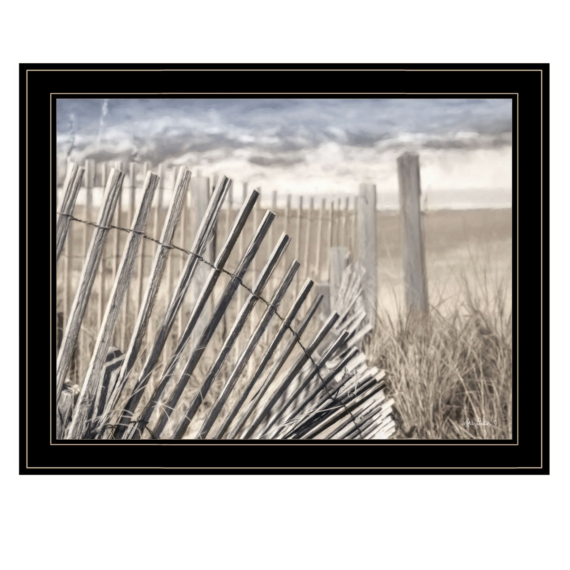 "On The Coastline" by Lori Deiter, Ready to Hang Framed Print, Black Frame--1