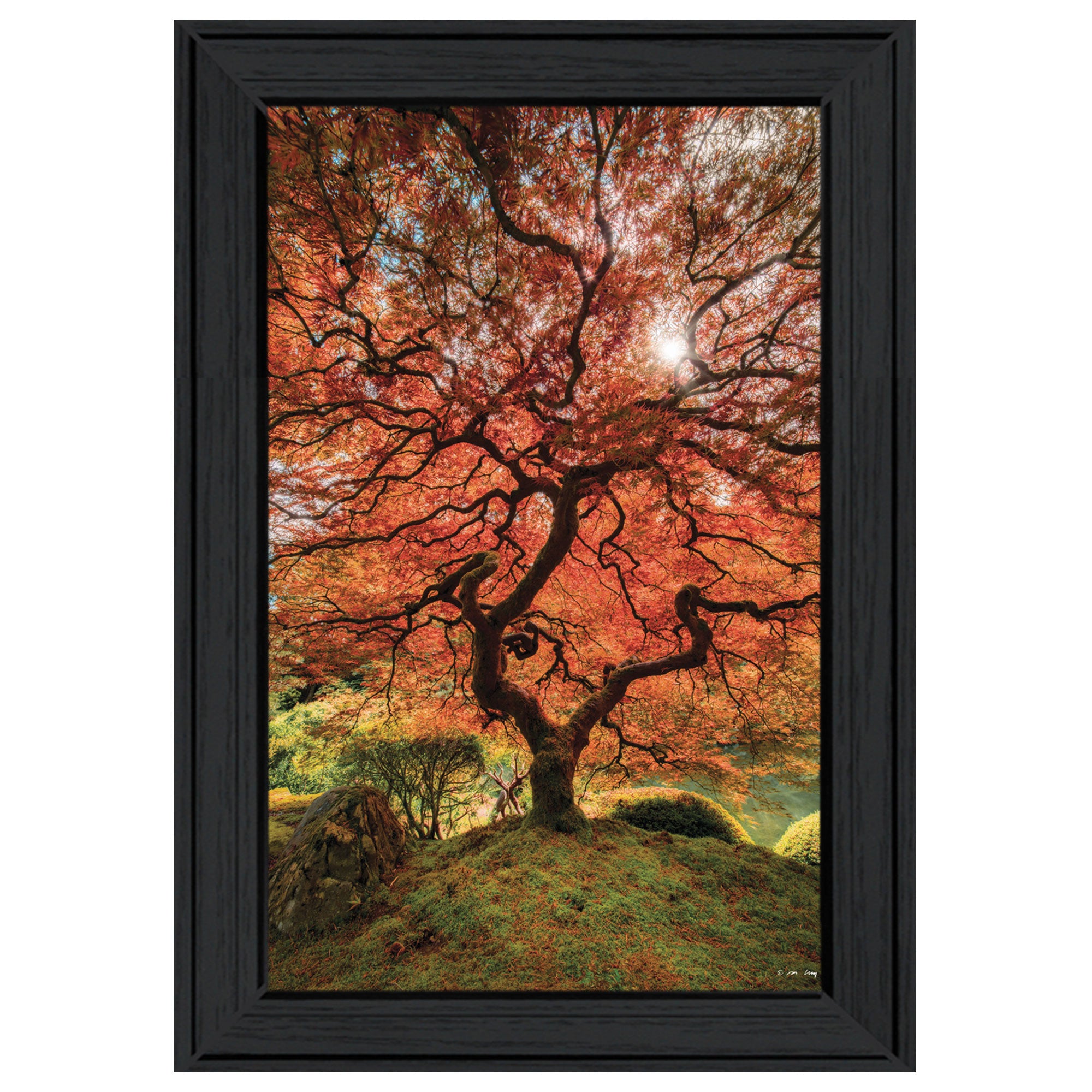 "First Colors of Fall II" by Moises Levy, Ready to Hang Framed Print, Black Frame--1