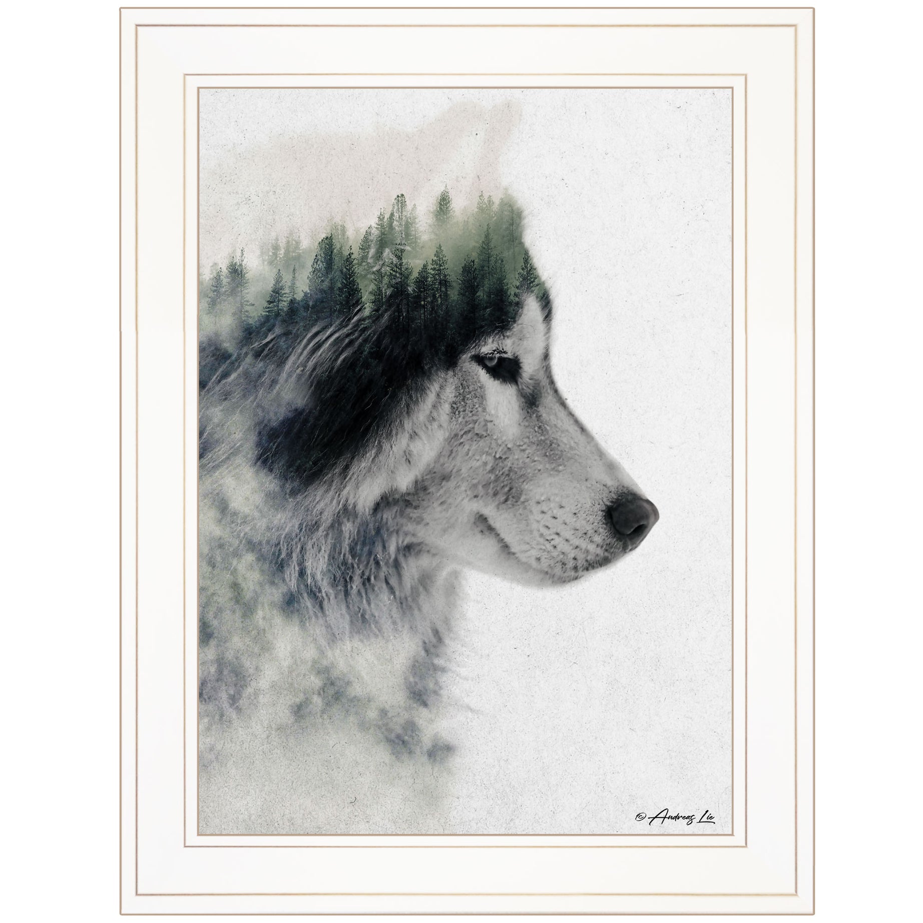 "Wolf Stare" by Andreas Lie, Ready to Hang Framed Print, White Frame--1