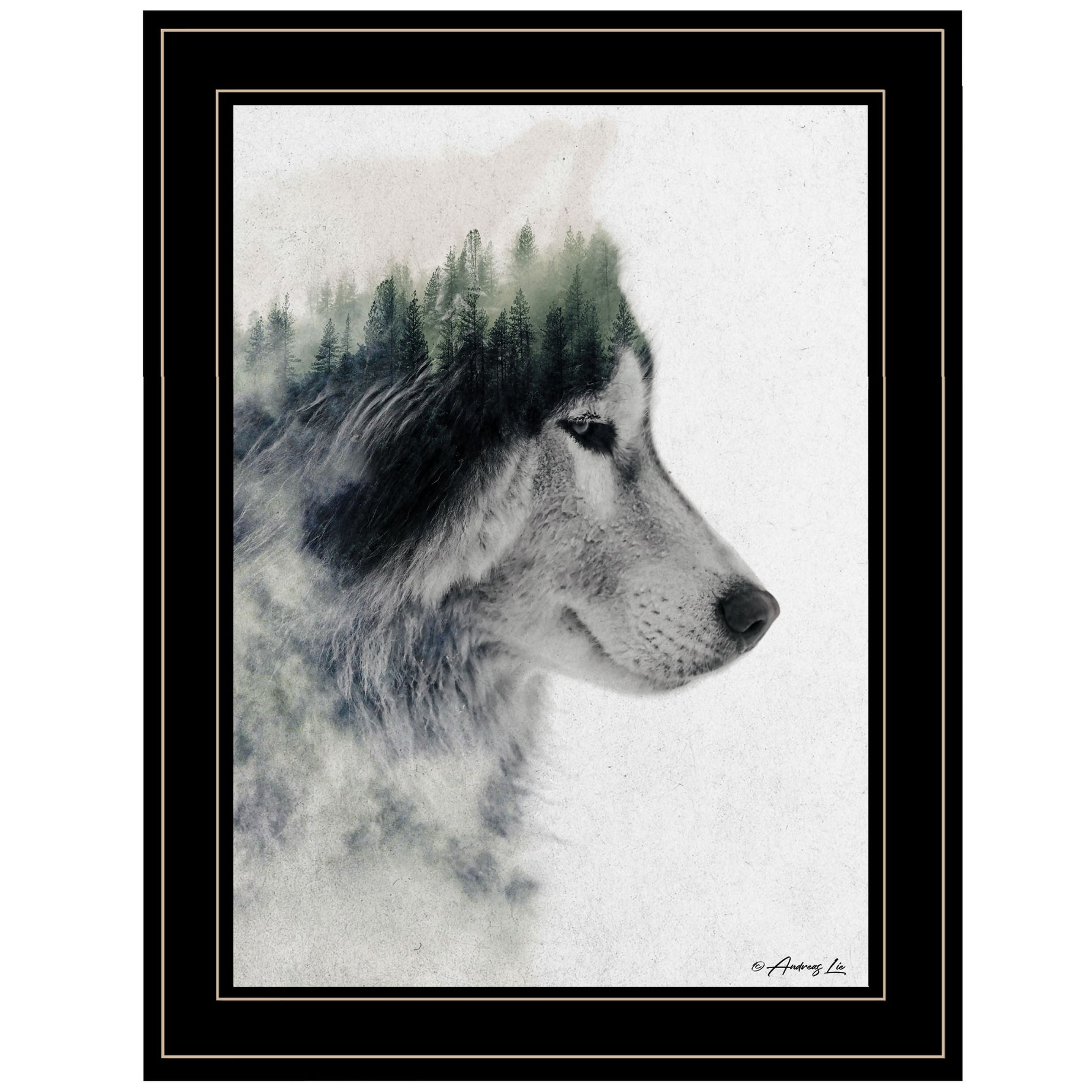 "Wolf Stare" by Andreas Lie, Ready to Hang Framed Print, Black Frame--1